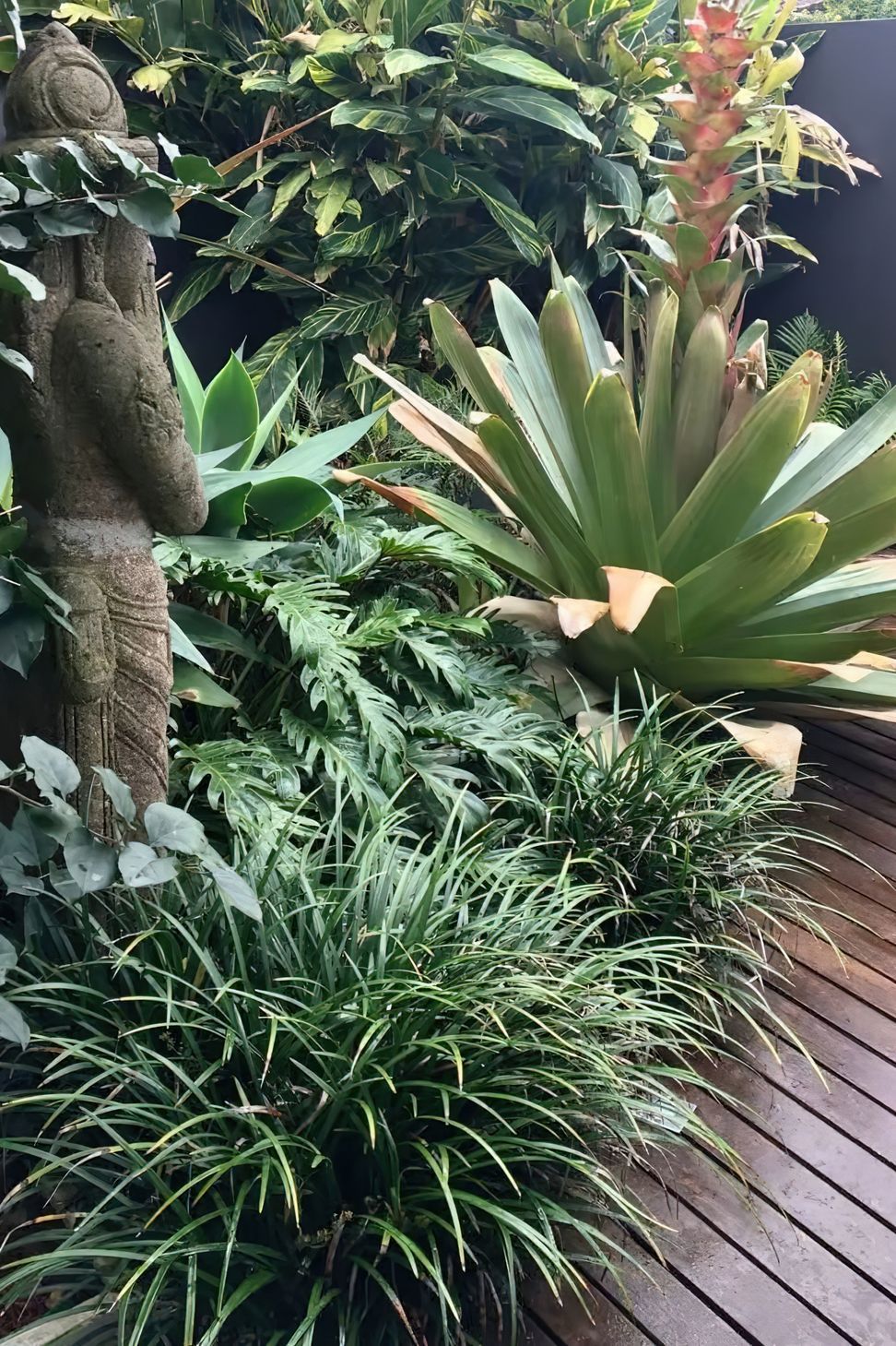 imgi20Clovelly-Landscape-Design-Sydney-NSW.jpeg