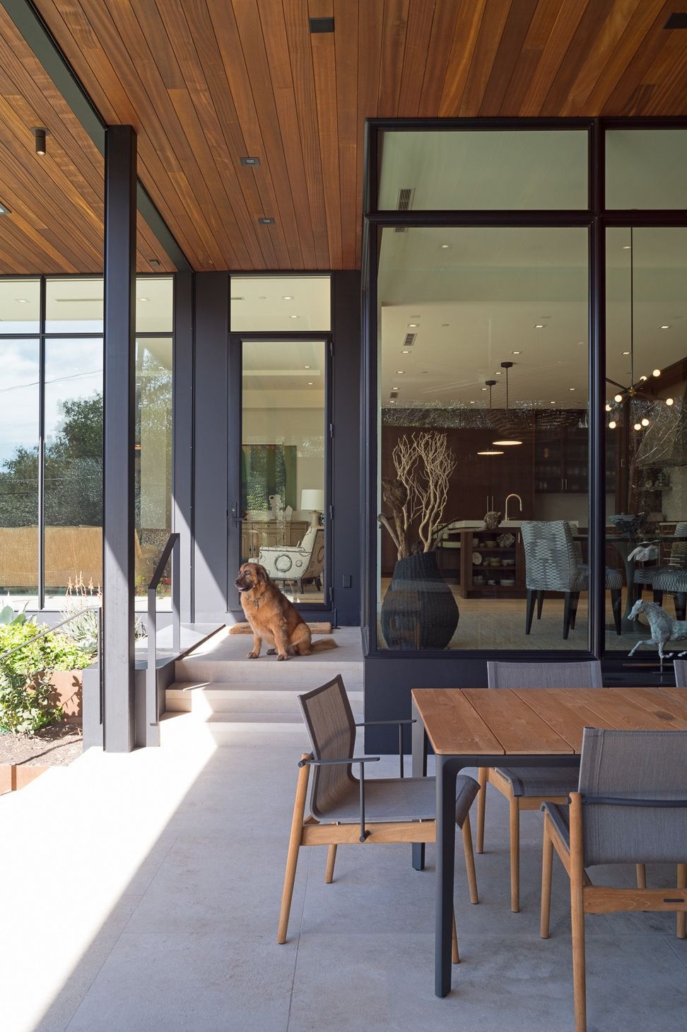 imgi31DSC8157-04outdoor-living-dog.jpg