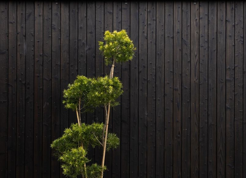 Te Awamutu - Yakisugi House