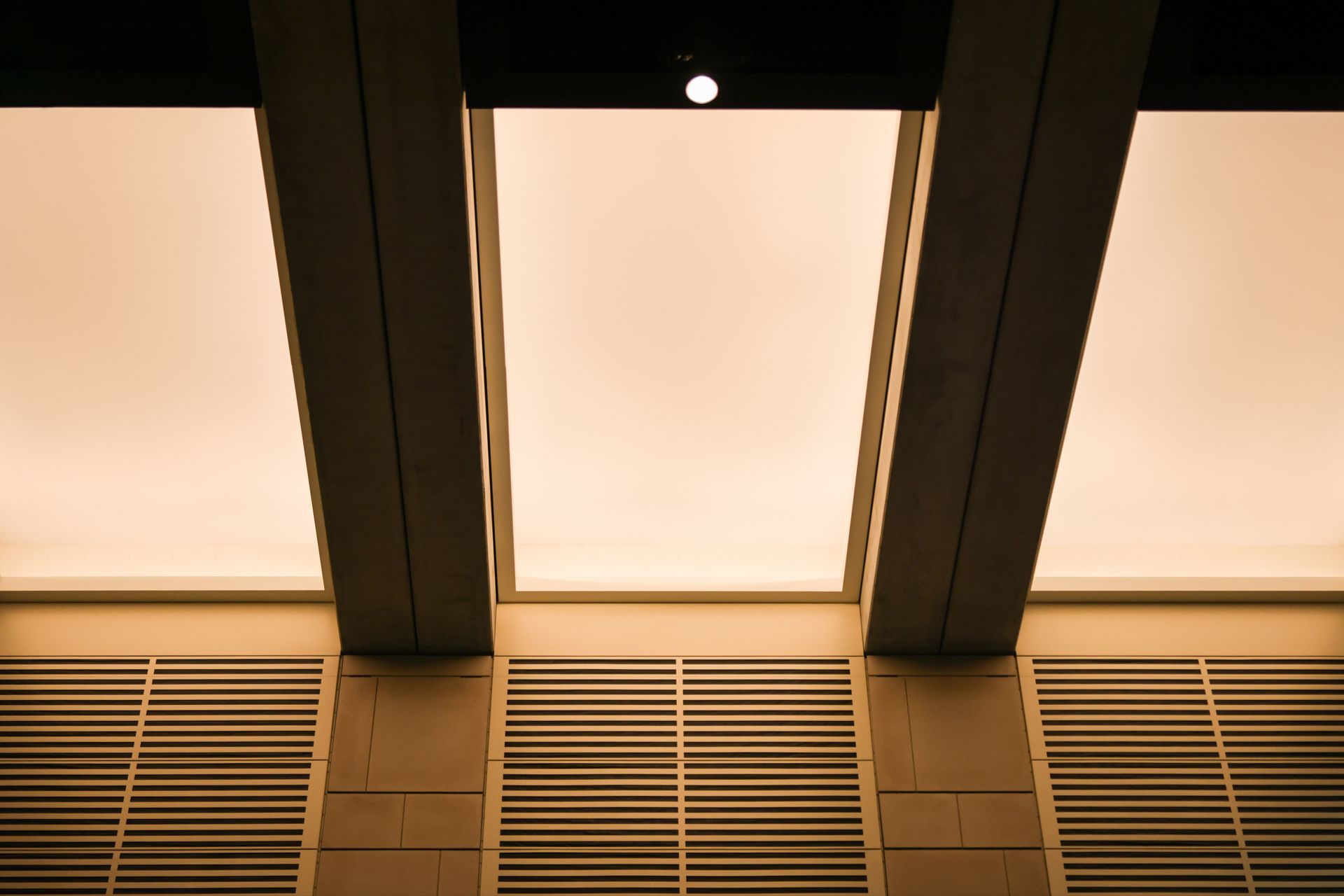 1S7A7861-ap-compressed.jpg