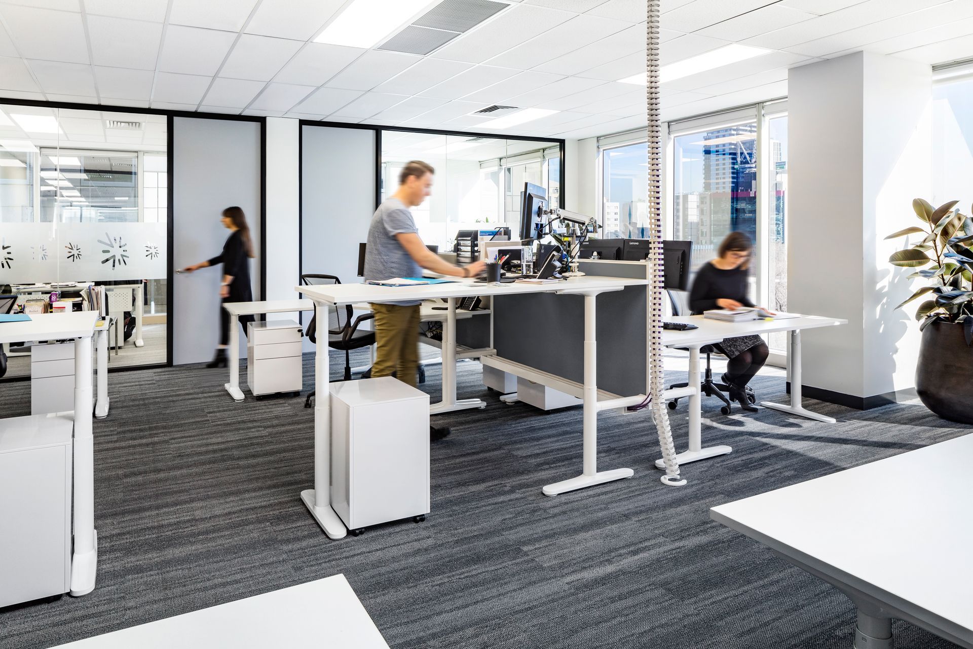 Australian Dental Council