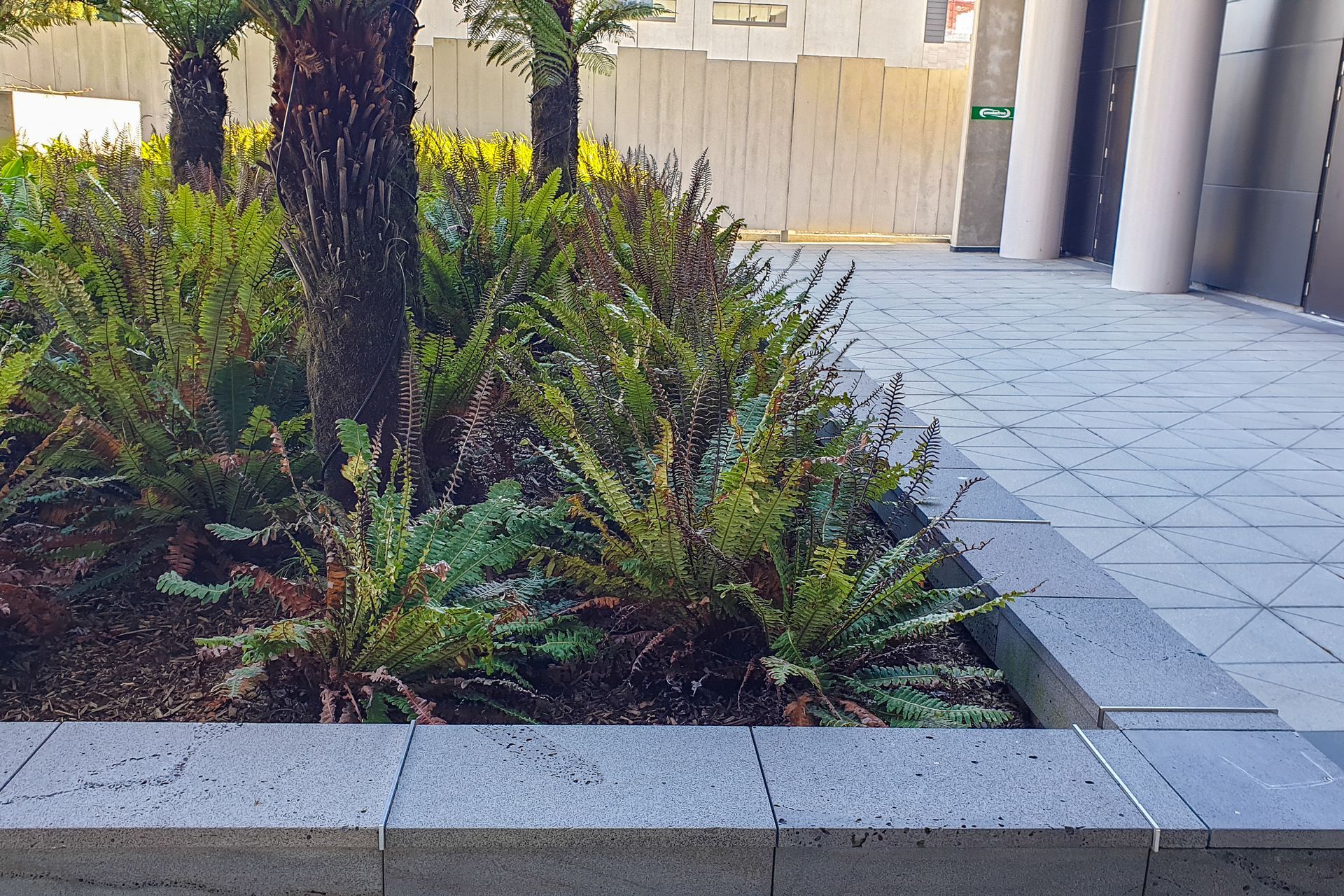 DuO Landscape Membrane, Awly Building Courtyard Christchurch