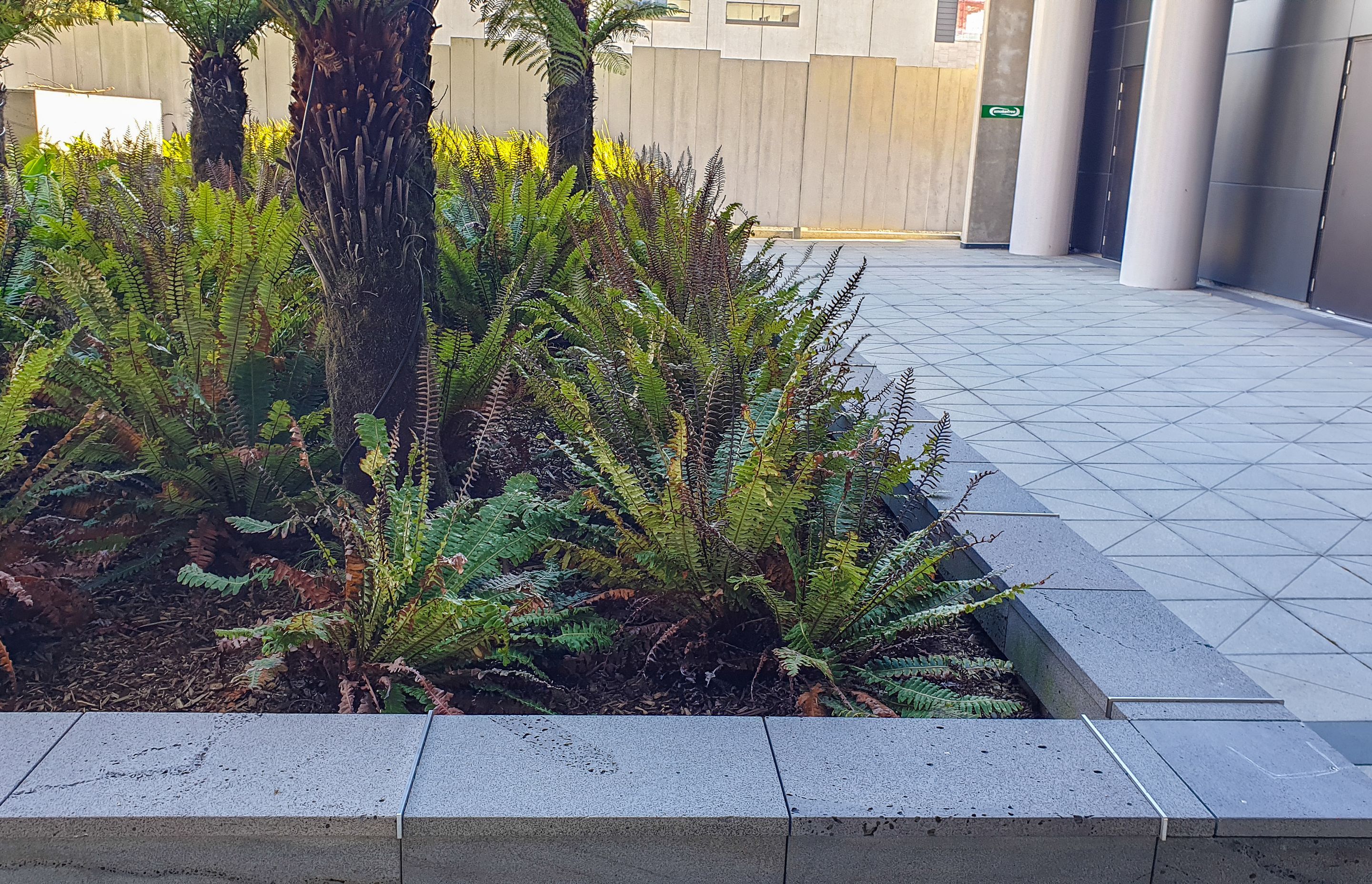 DuO Landscape Membrane, Awly Building Courtyard Christchurch