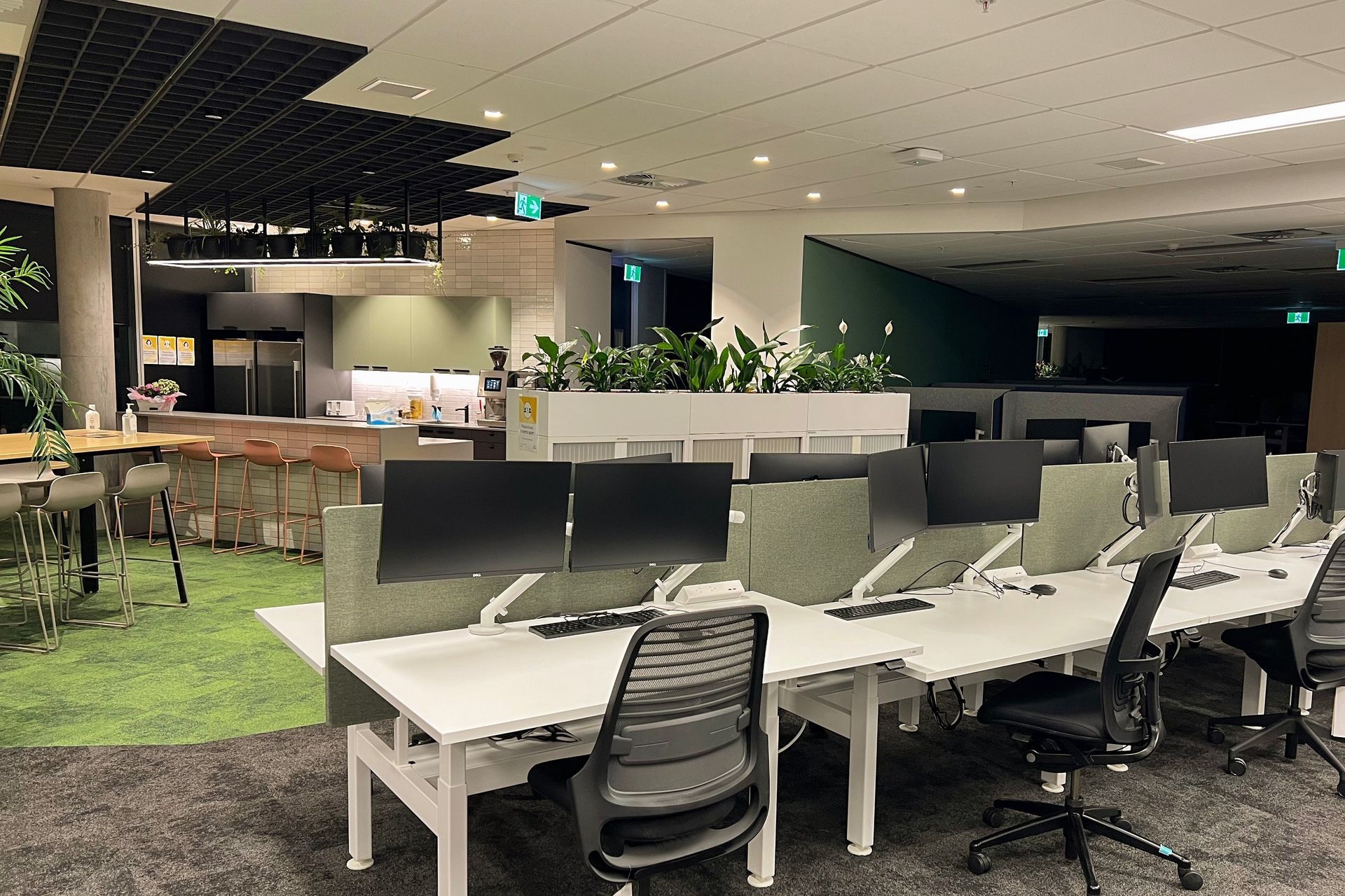 Auckland Council Henderson