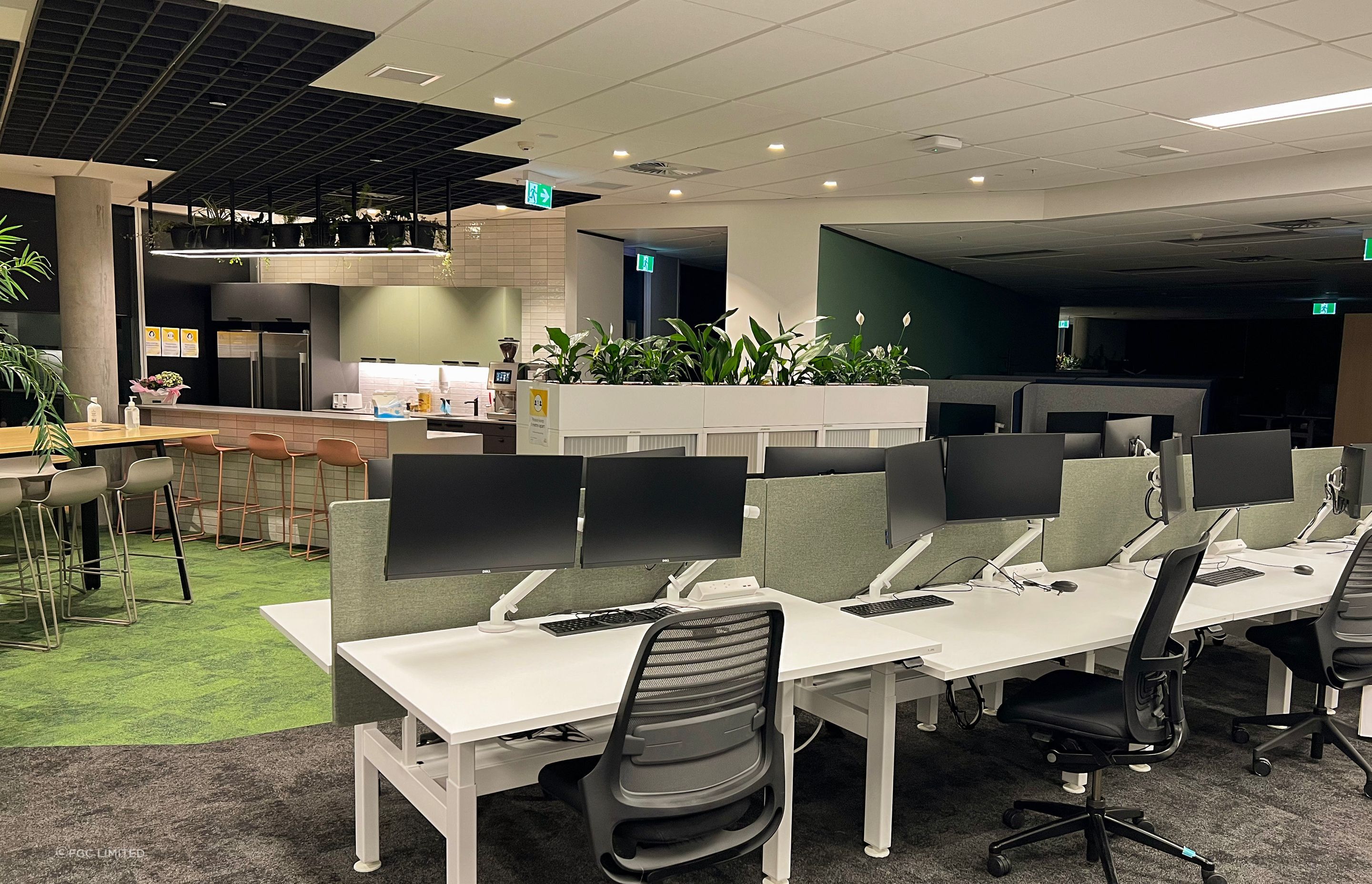 Auckland Council Henderson