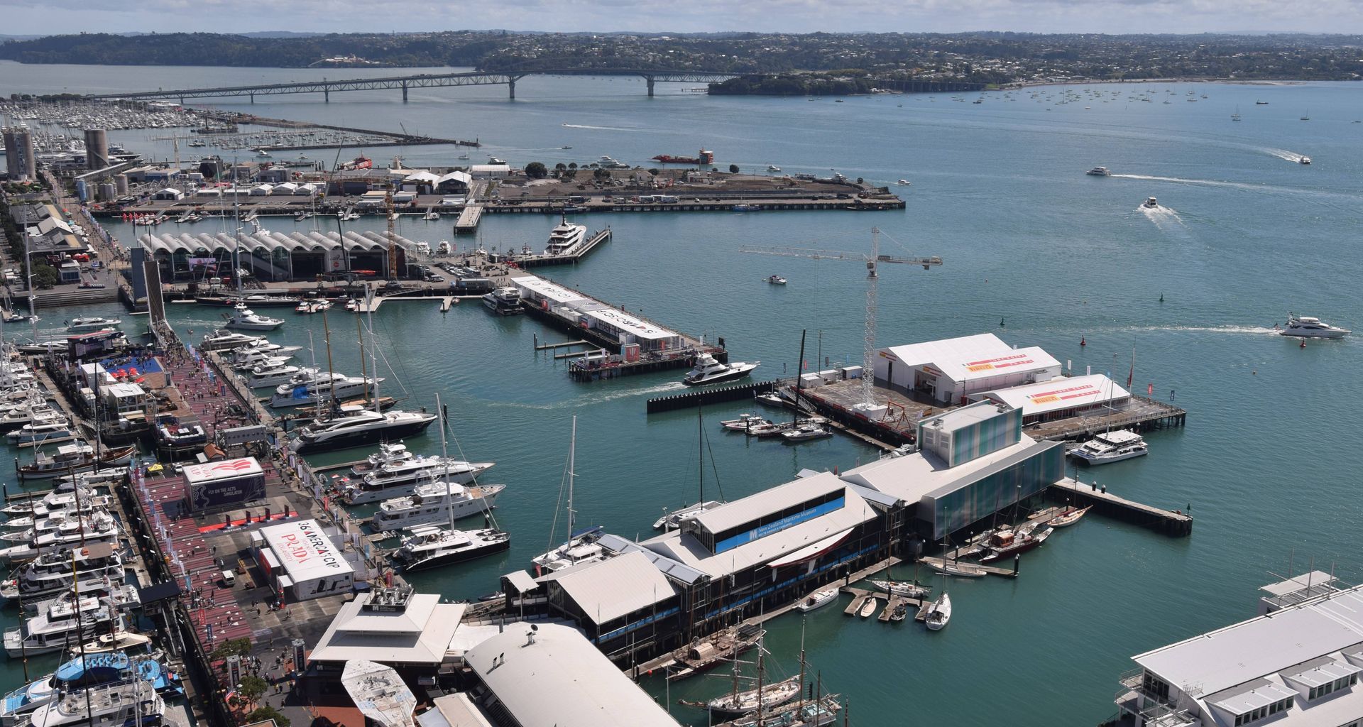Wynyard Alliance - Americas Cup Development banner