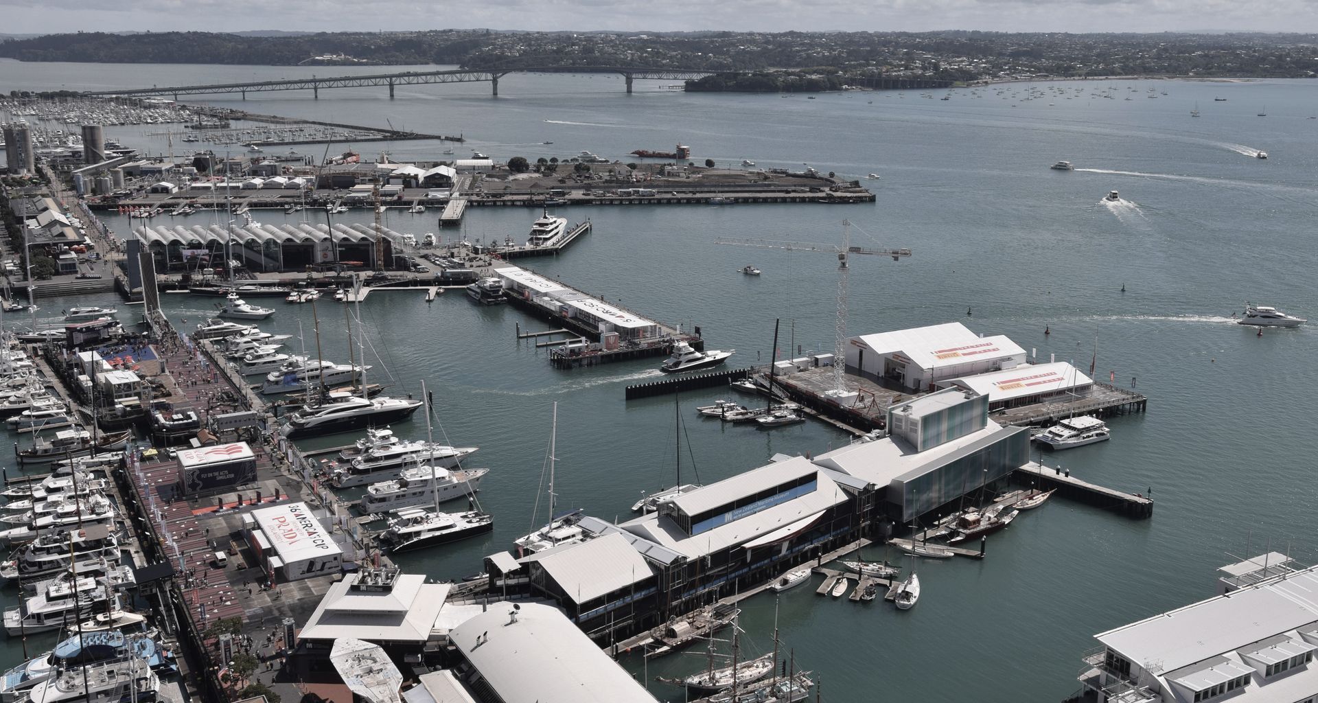 Wynyard Alliance - Americas Cup Development banner