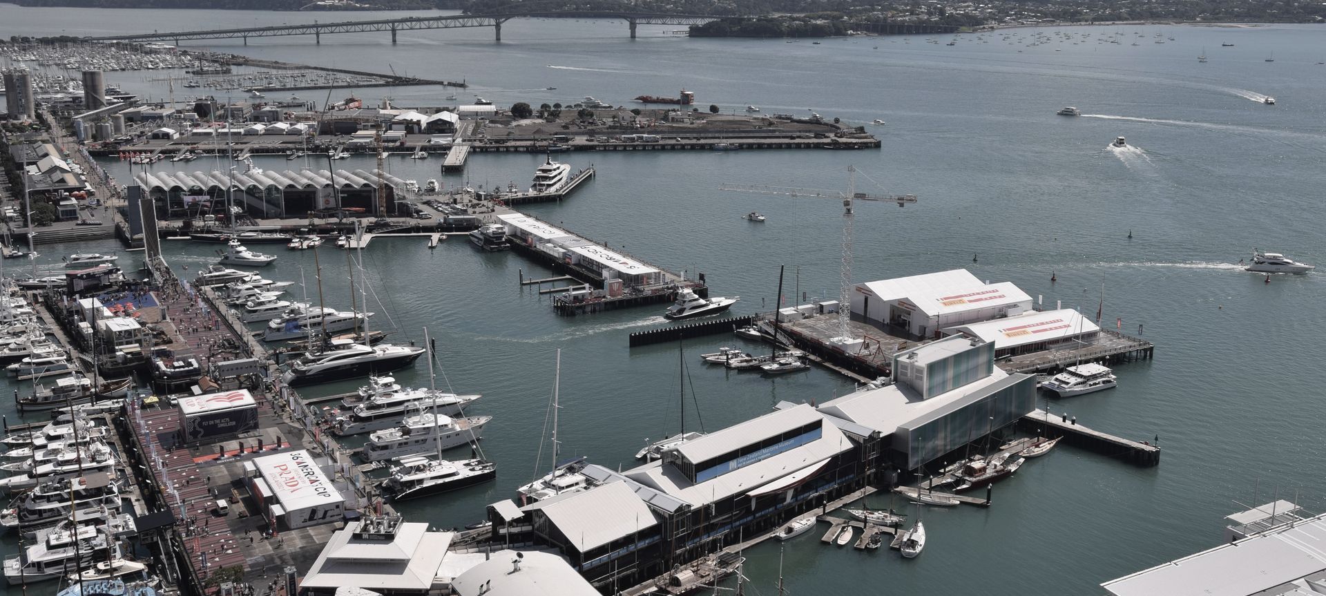 Wynyard Alliance - Americas Cup Development banner
