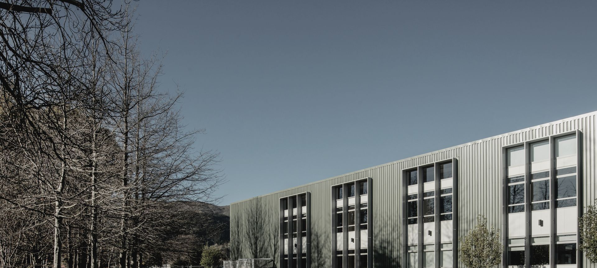 Waimea College banner