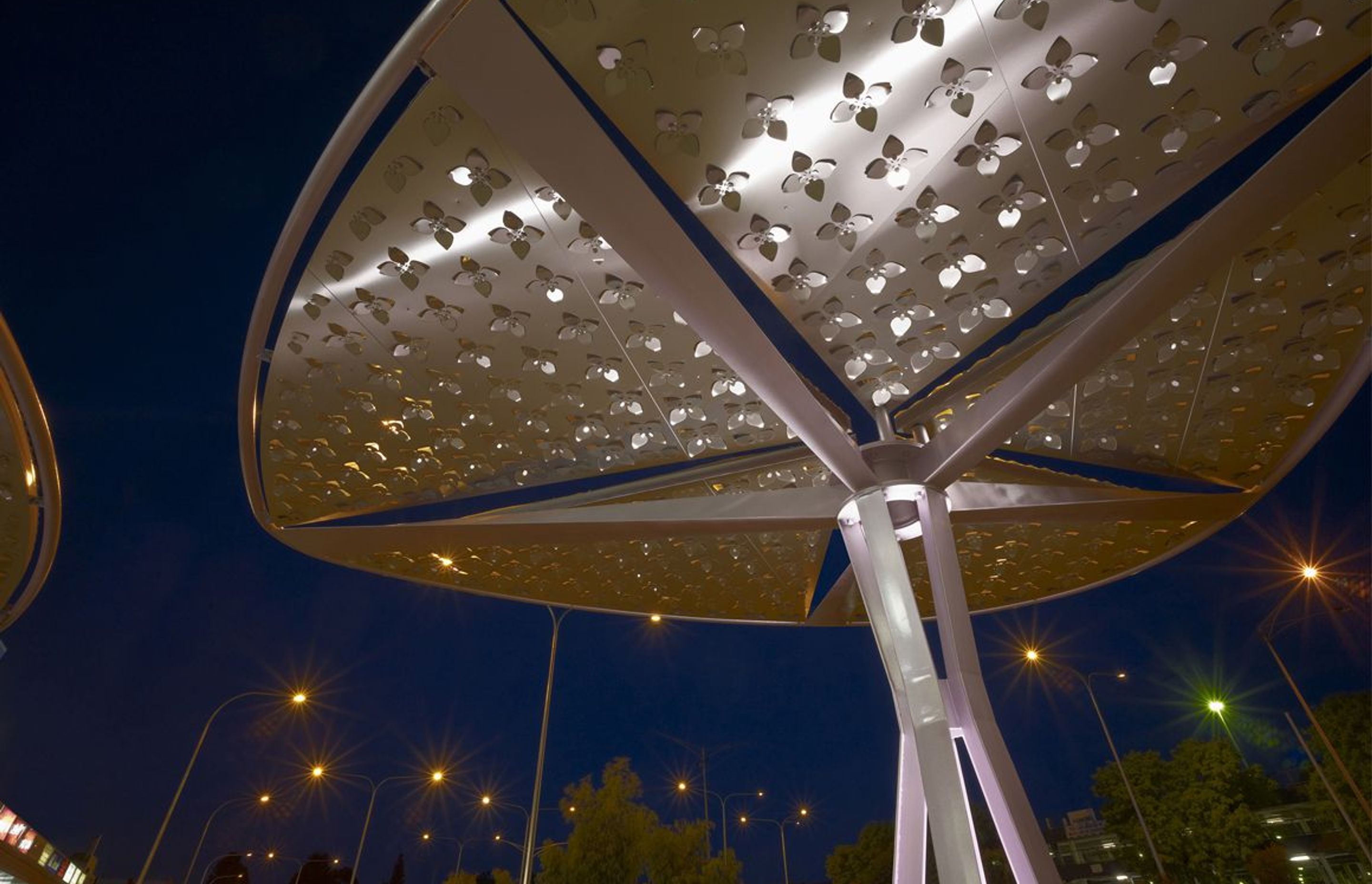 Boronia Structures