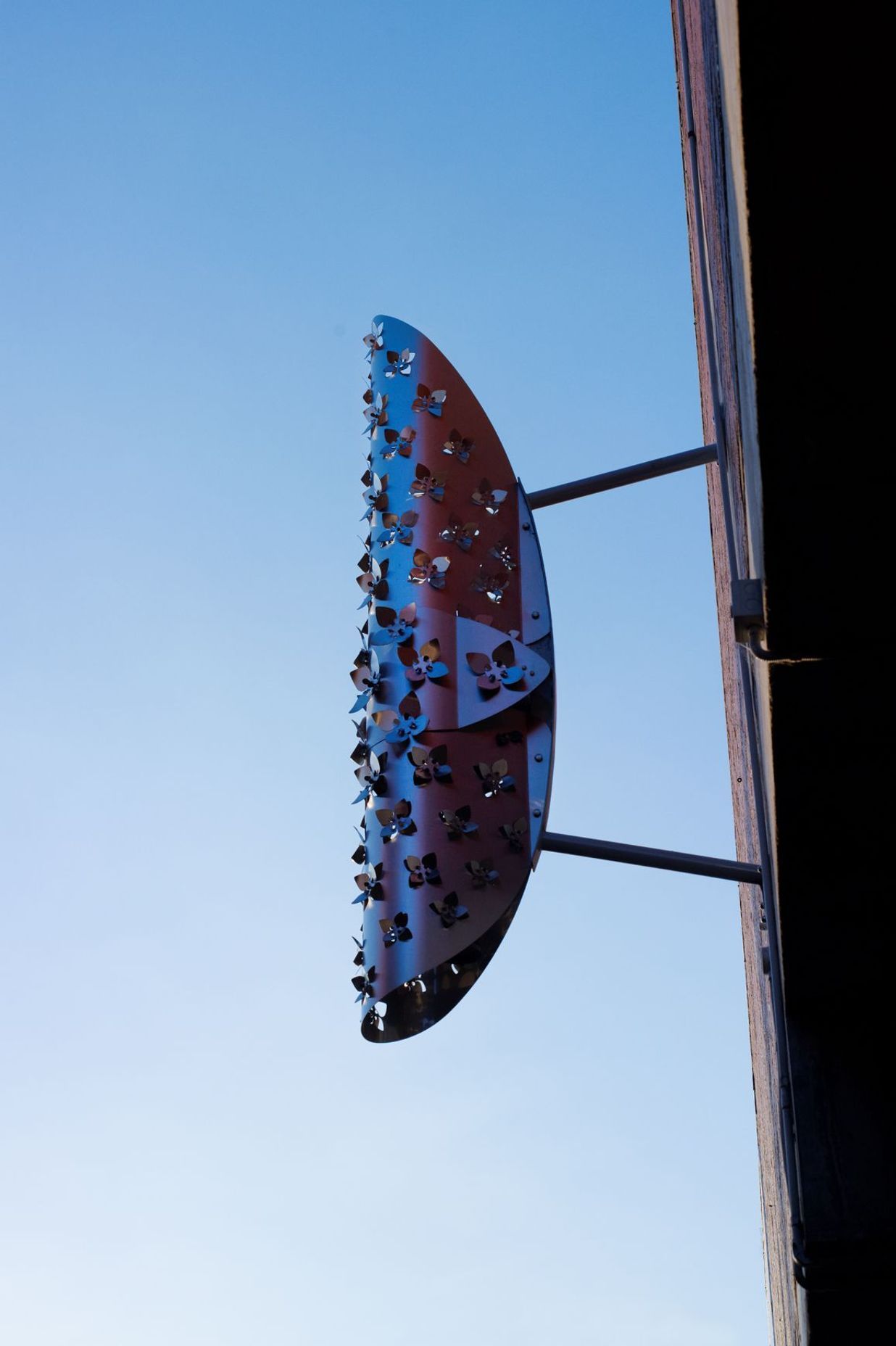 Boronia Structures