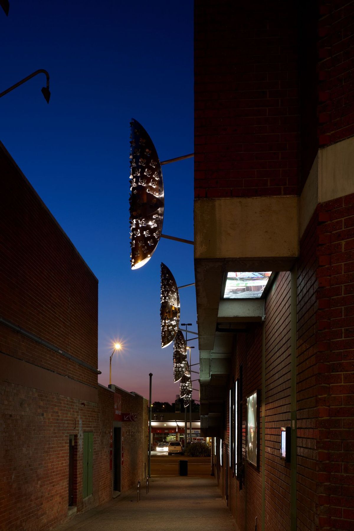 Boronia Structures