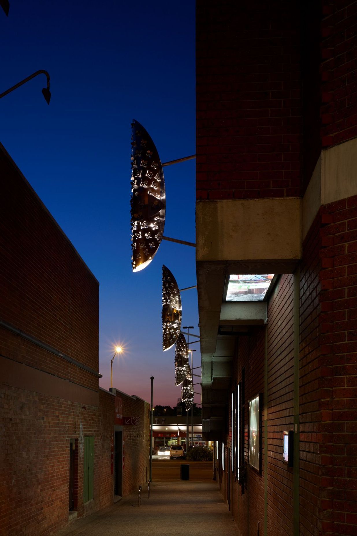 Boronia Structures