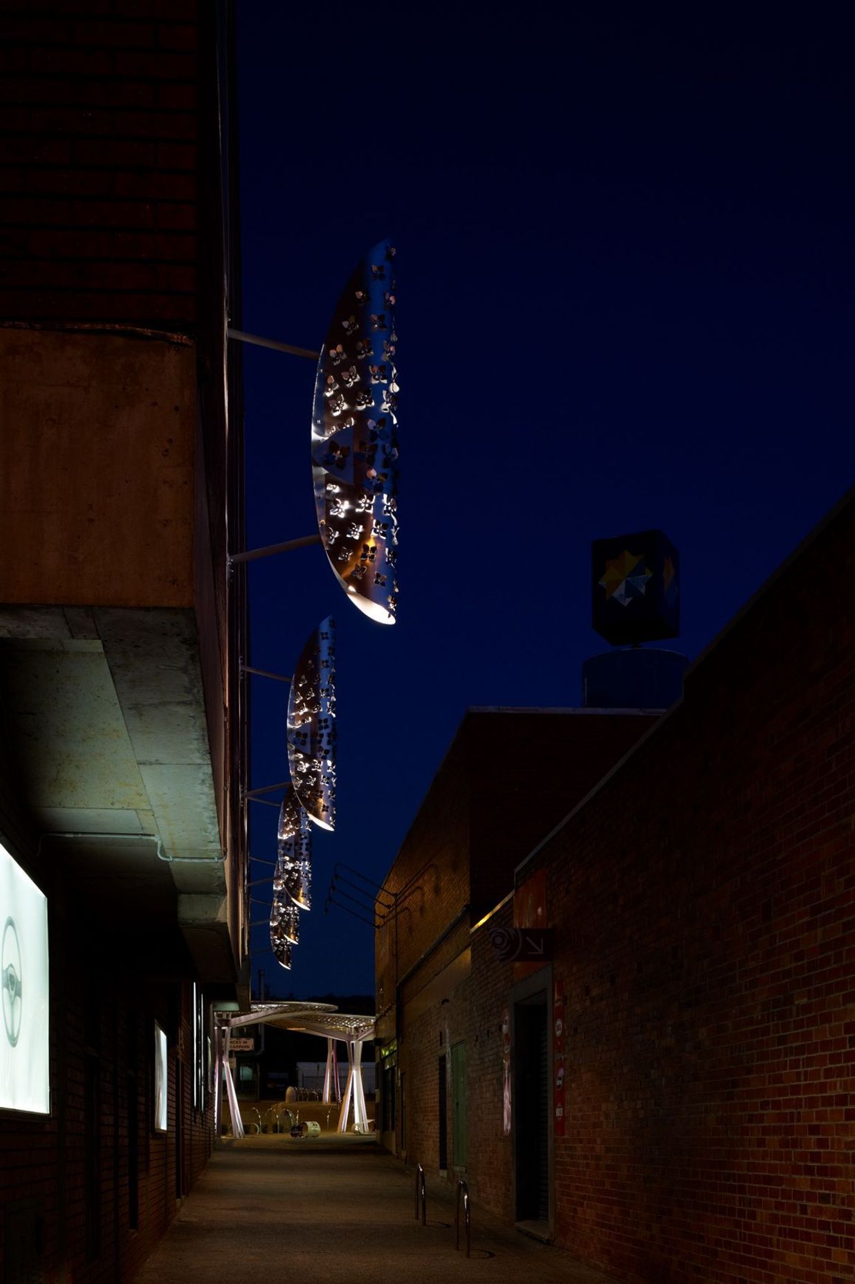 Boronia Structures