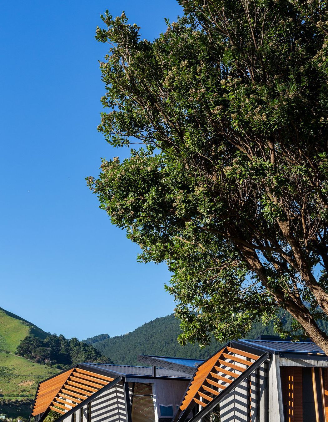 Ramaroa Queen Elizabeth Park