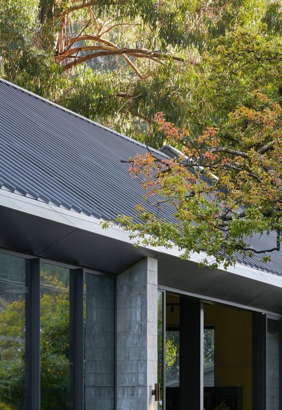 COLORSTEEL-Gantleys-Brewhall-Tray-FlaxPod-7-ap-compressed.jpg