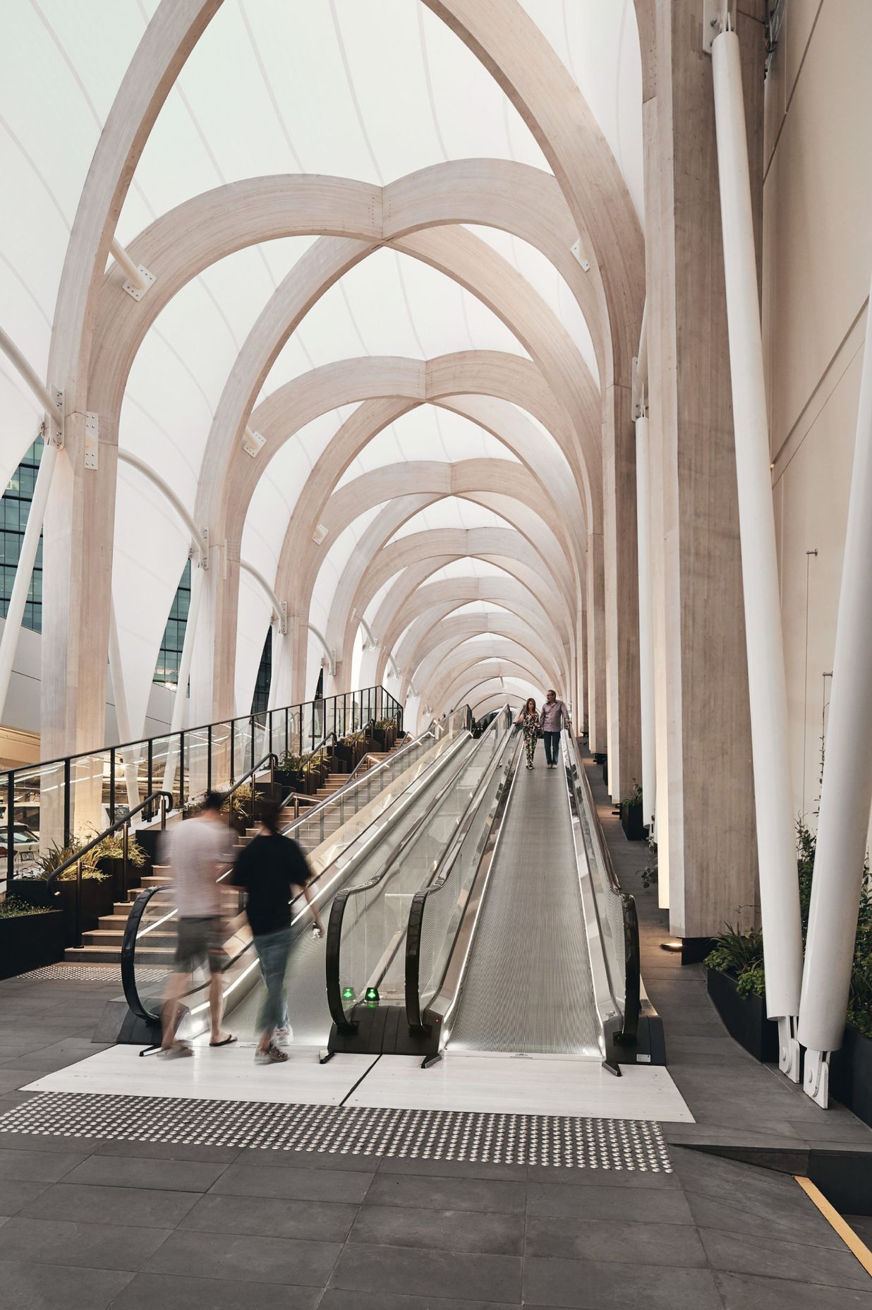 Chadstone Link 2019
