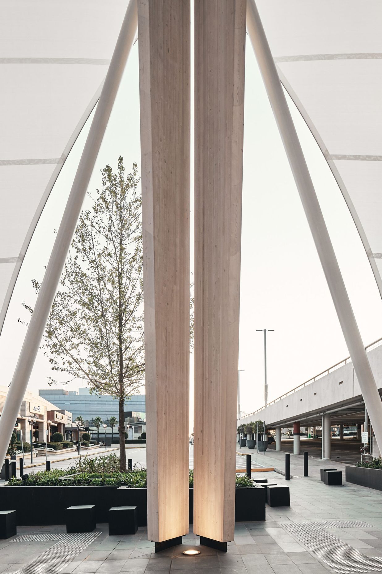 ##Chadstone Link 2019