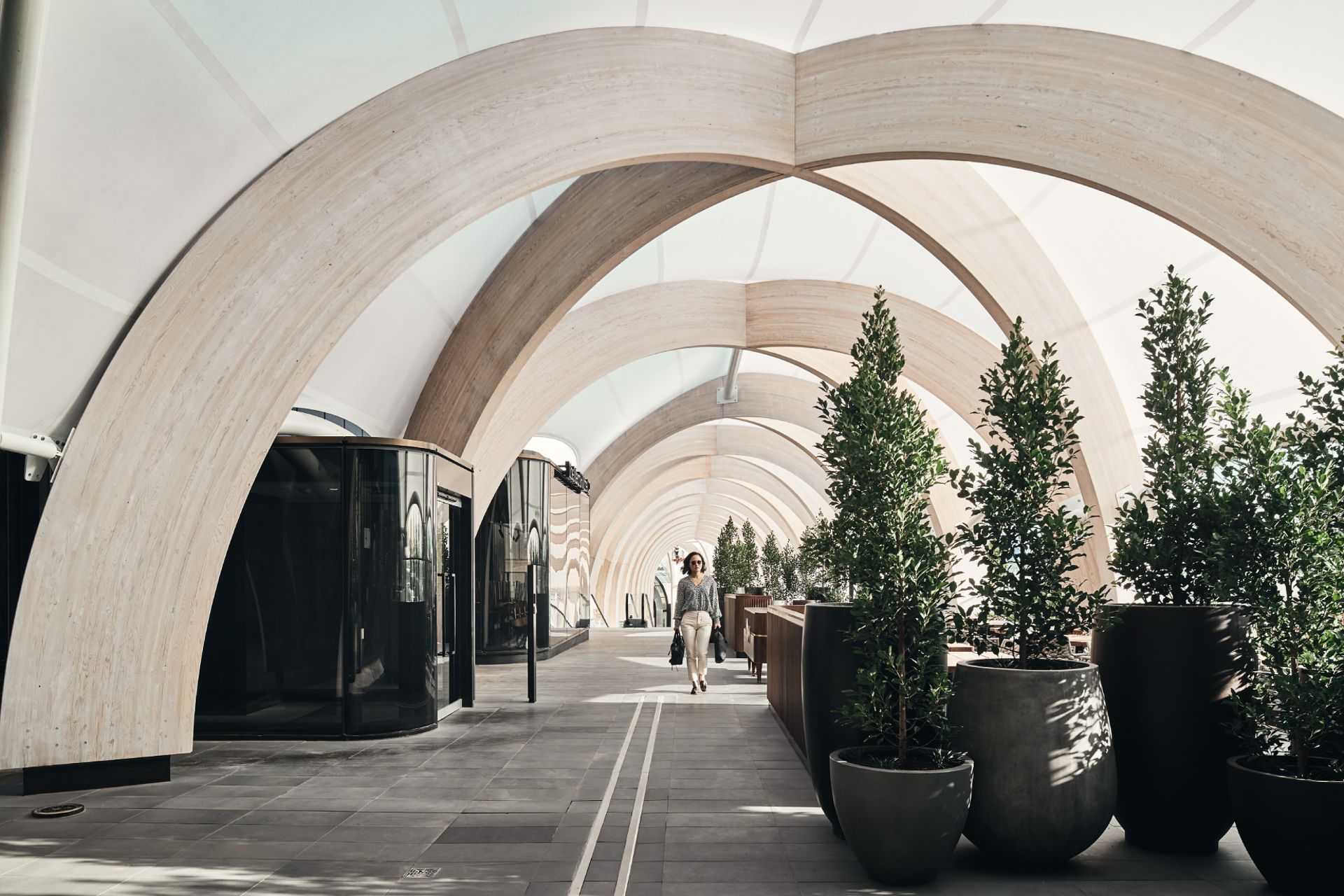 ##Chadstone Link 2019