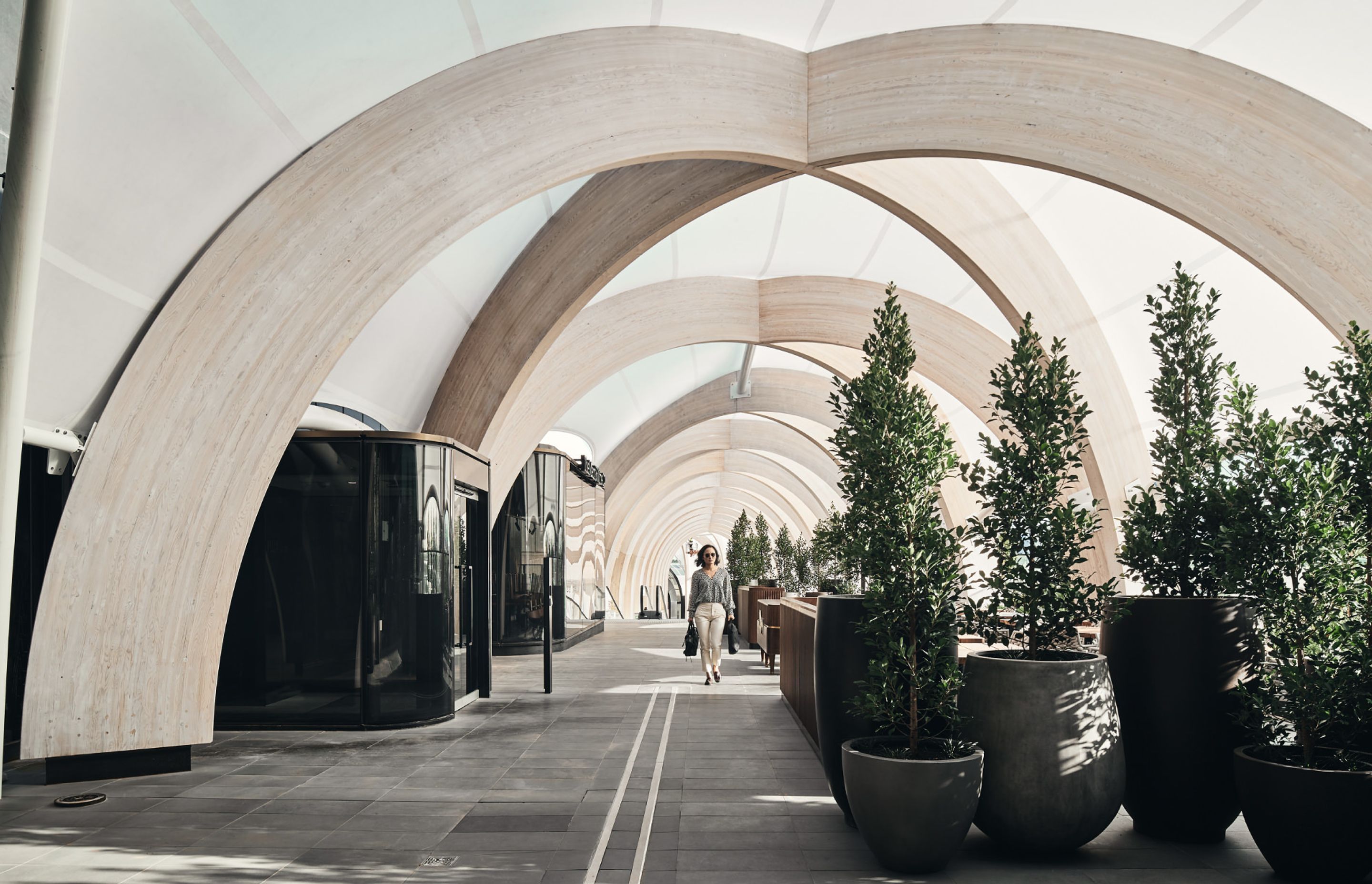 ##Chadstone Link 2019