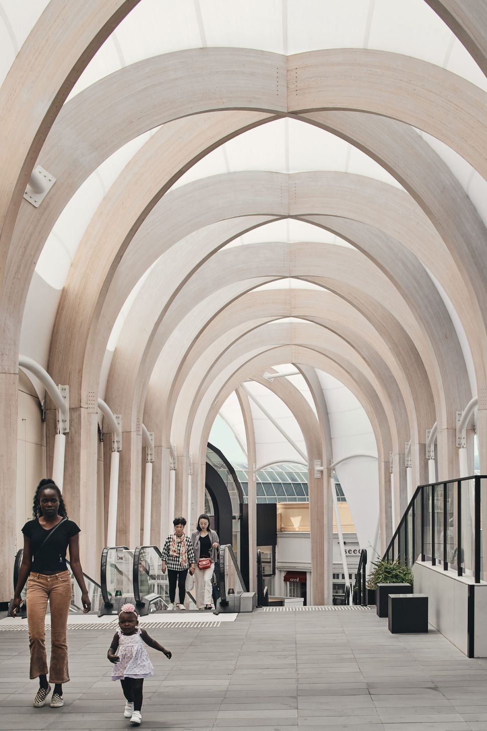 ##Chadstone Link 2019