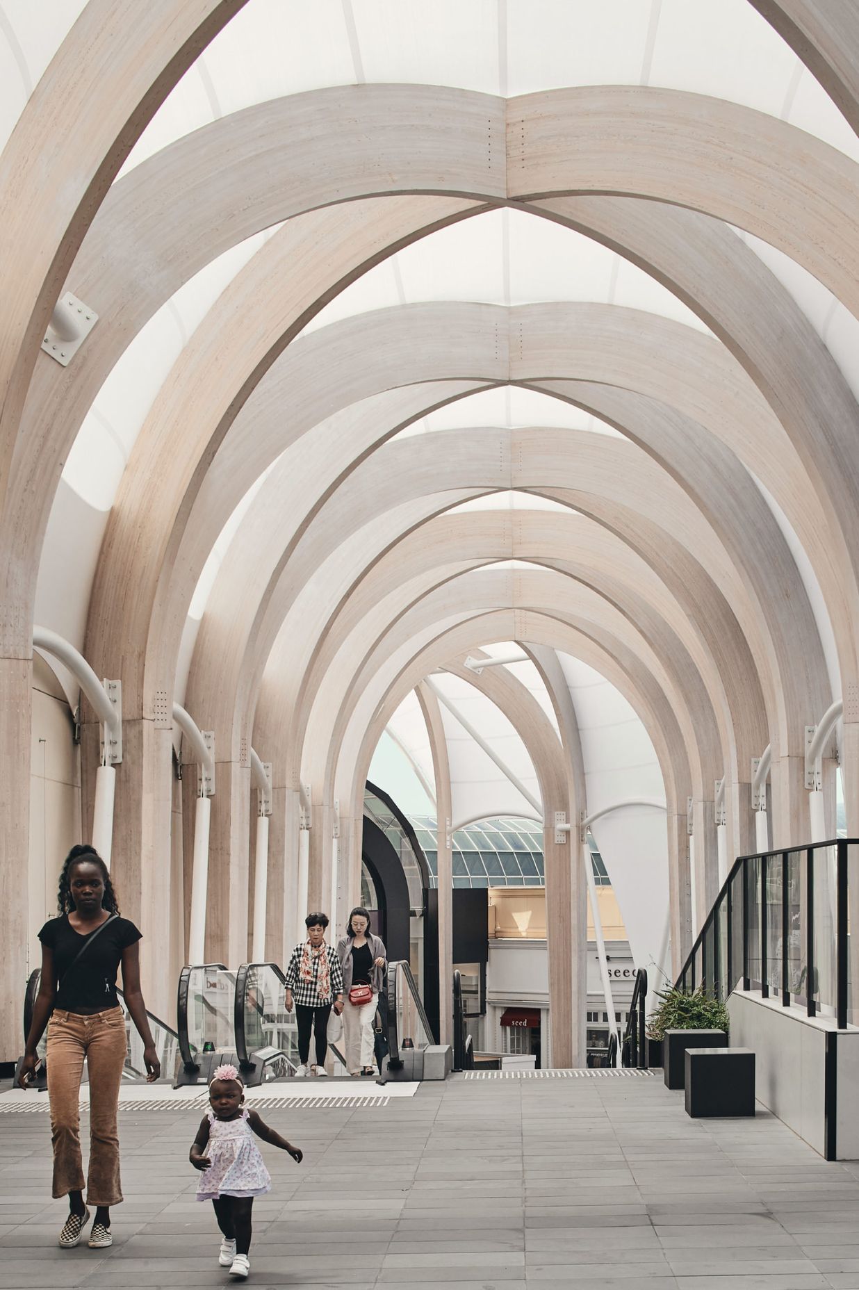 ##Chadstone Link 2019
