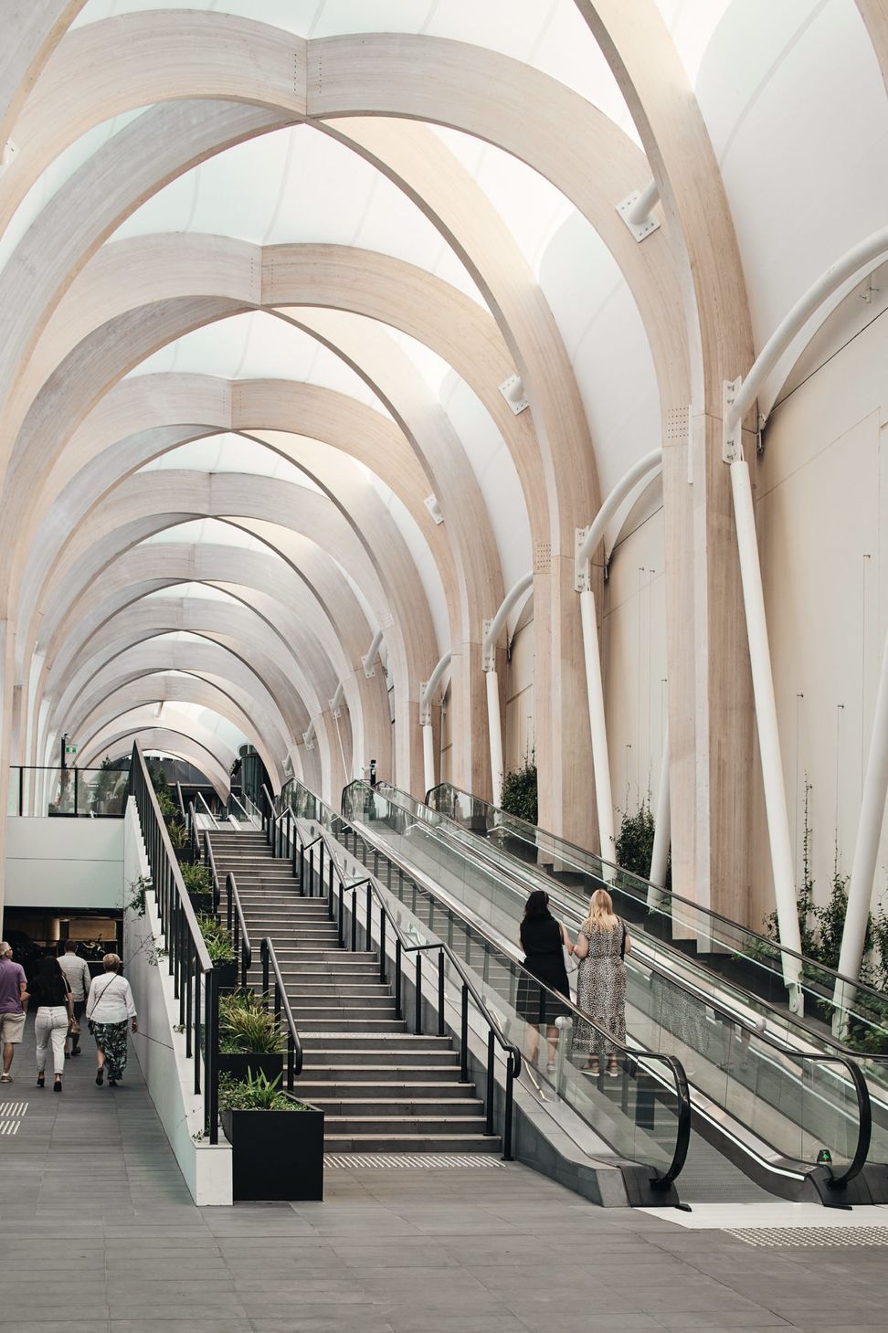 ##Chadstone Link 2019