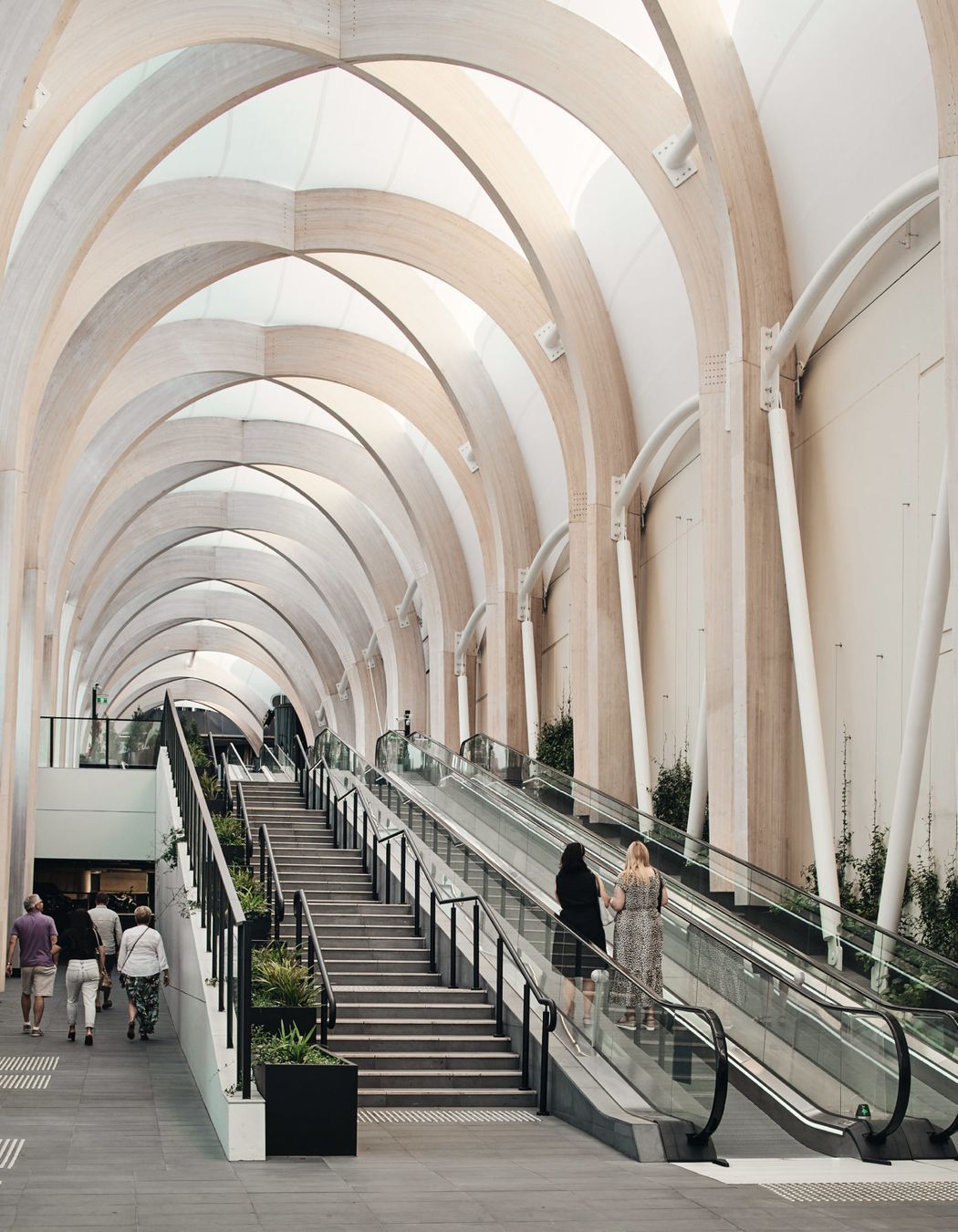 ##Chadstone Link 2019