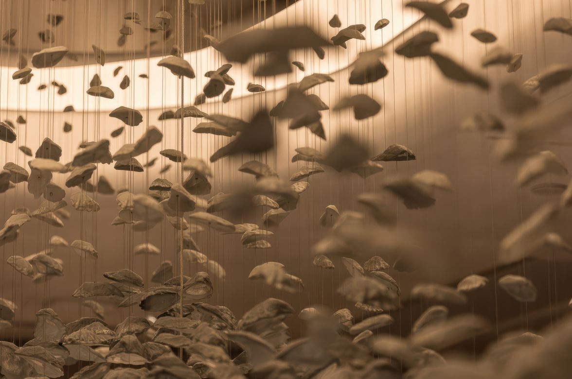 Corrs Chambers Westgarth, for Electrolight, Sydney.