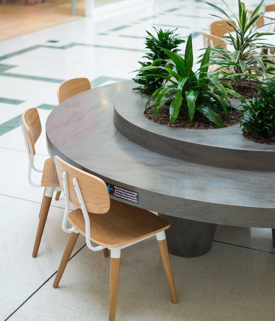Food-Court-The-Palms28.jpg