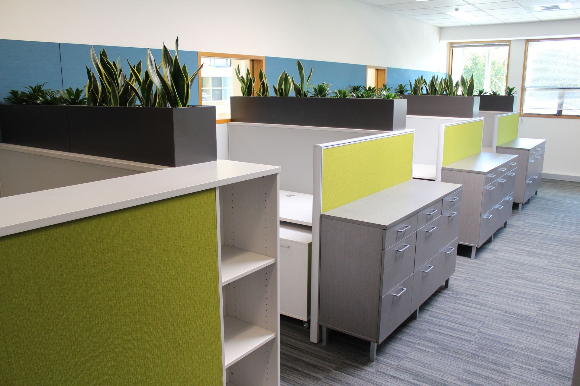 Plant &amp; Food Research