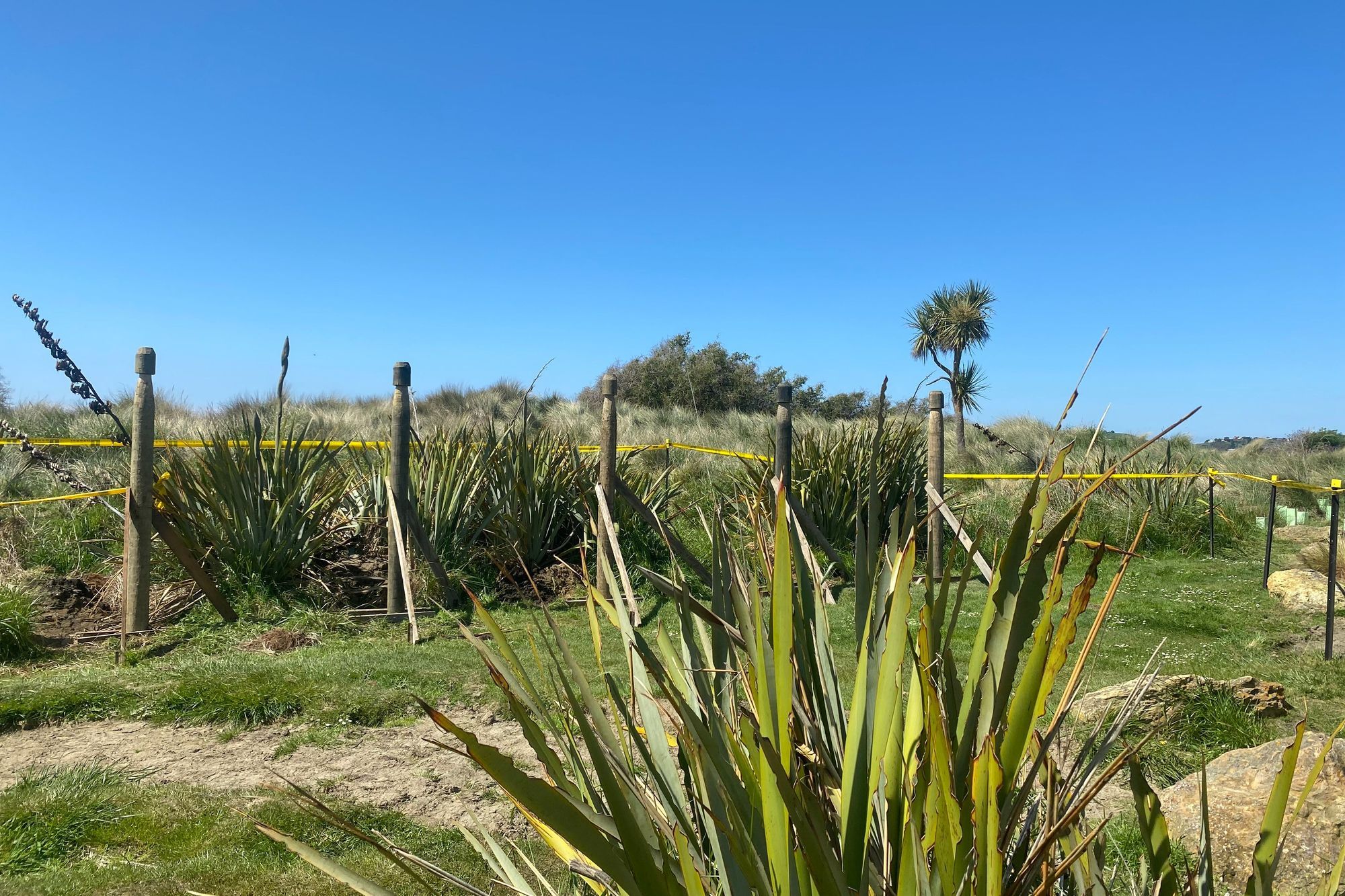 Moeraki DOC