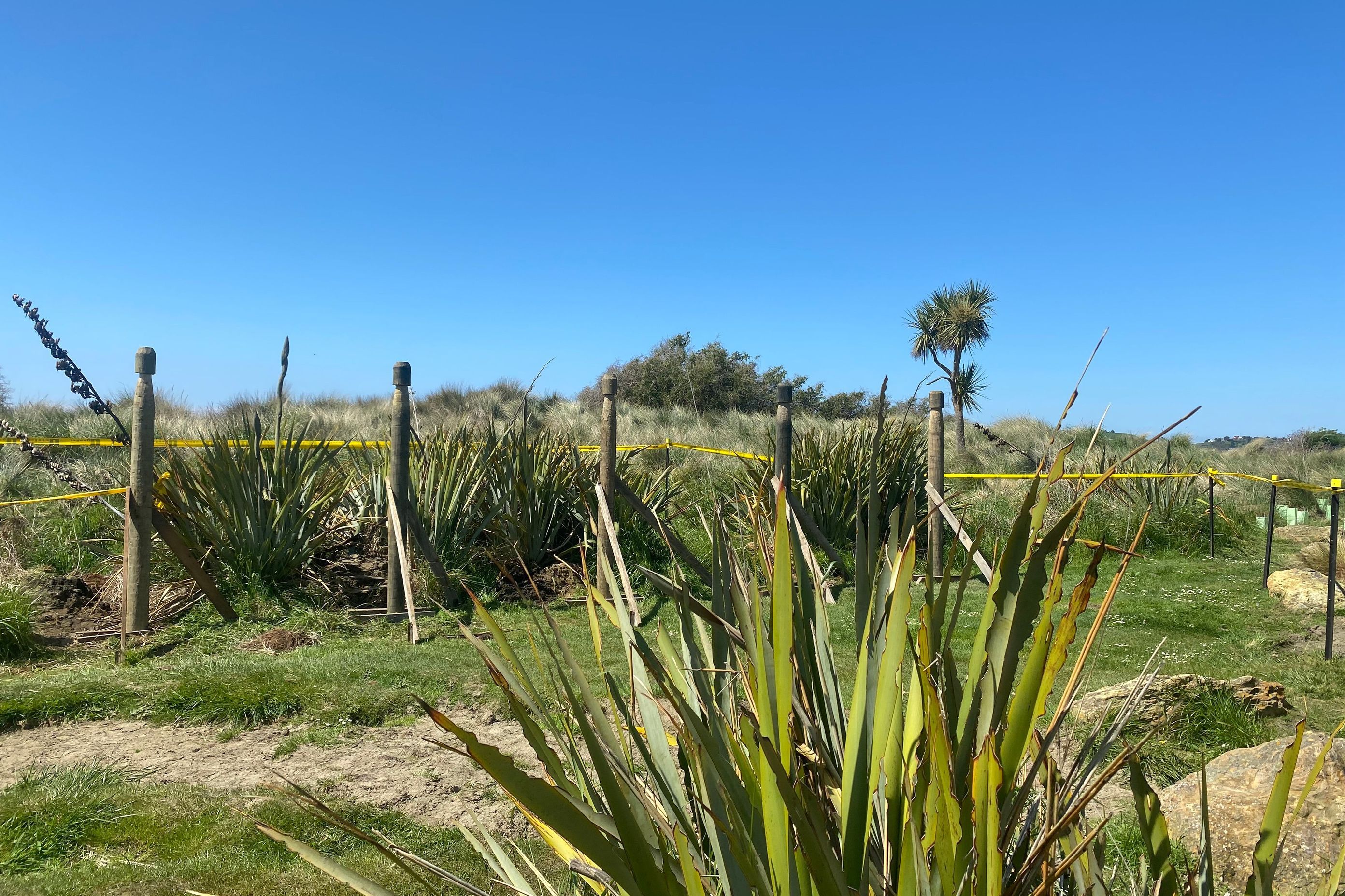 Moeraki DOC