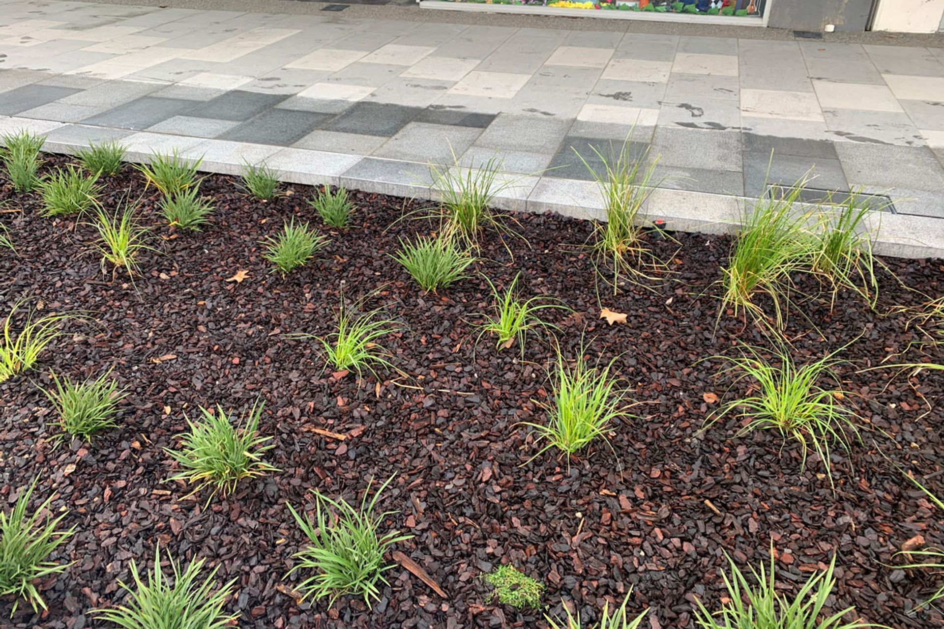 Palmerston Square CBD upgrade with Horizon International Basalt stone pavers and Granite