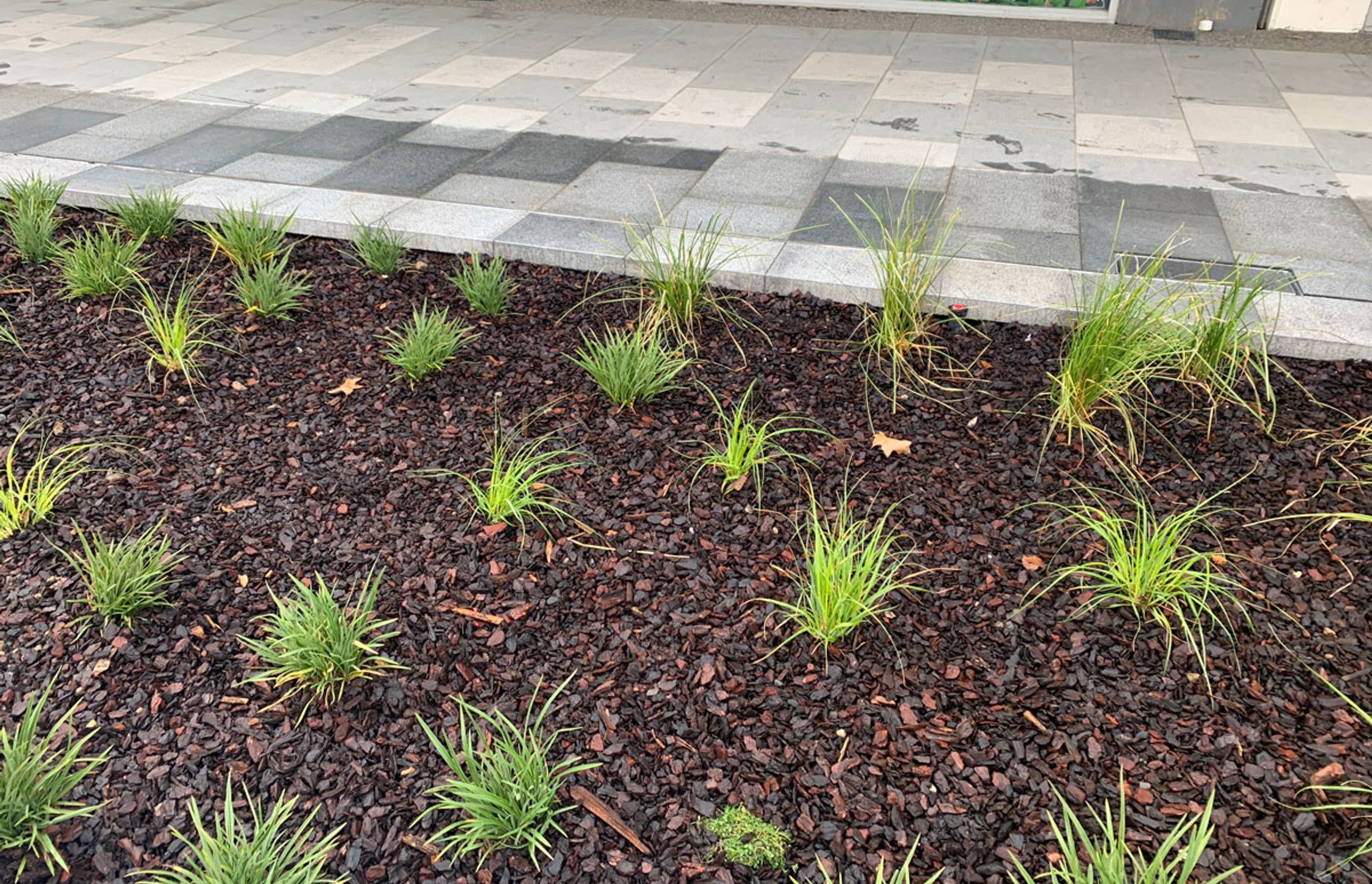 Palmerston Square CBD upgrade with Horizon International Basalt stone pavers and Granite