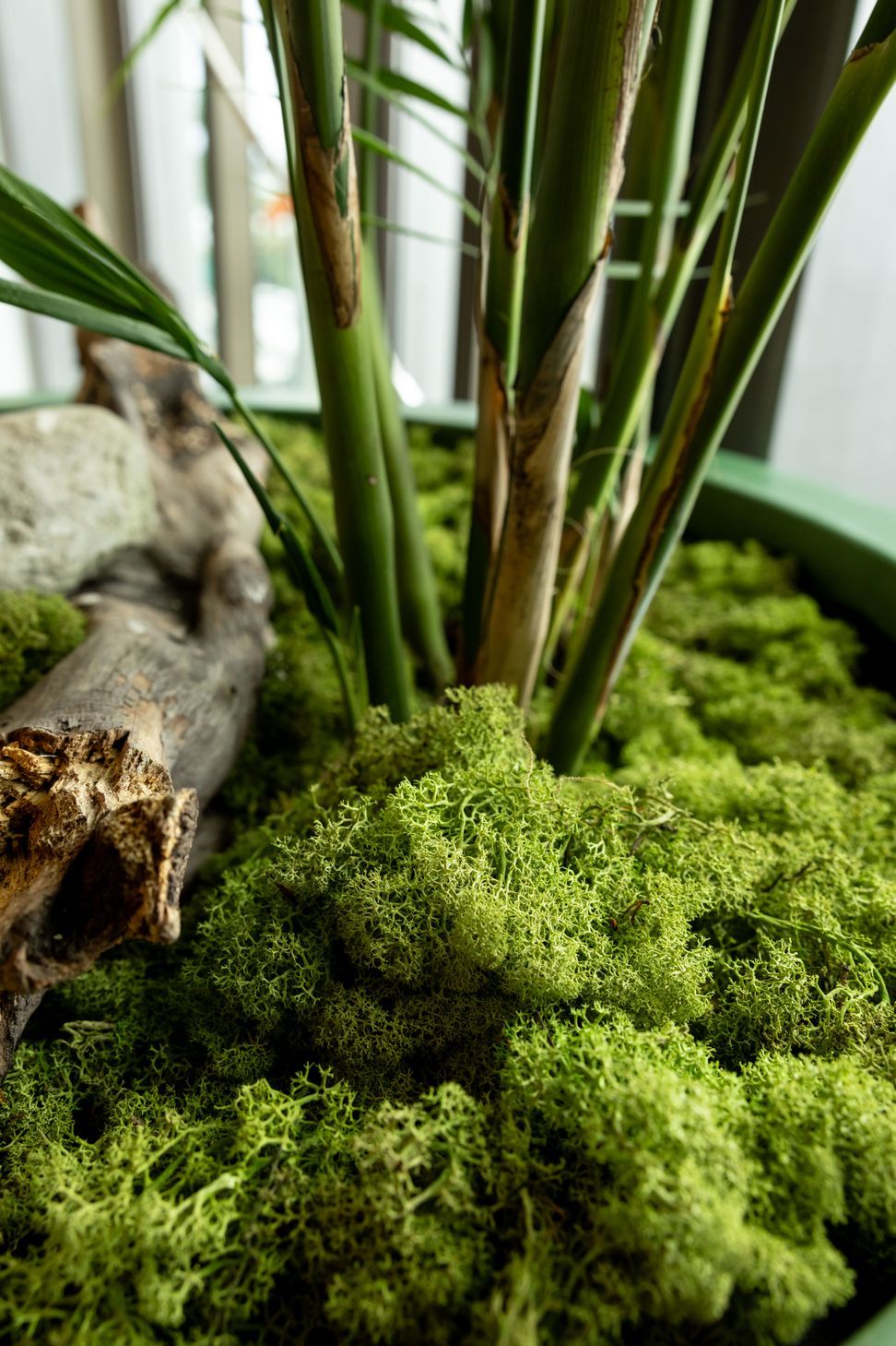 JP17428-Moss.jpg
