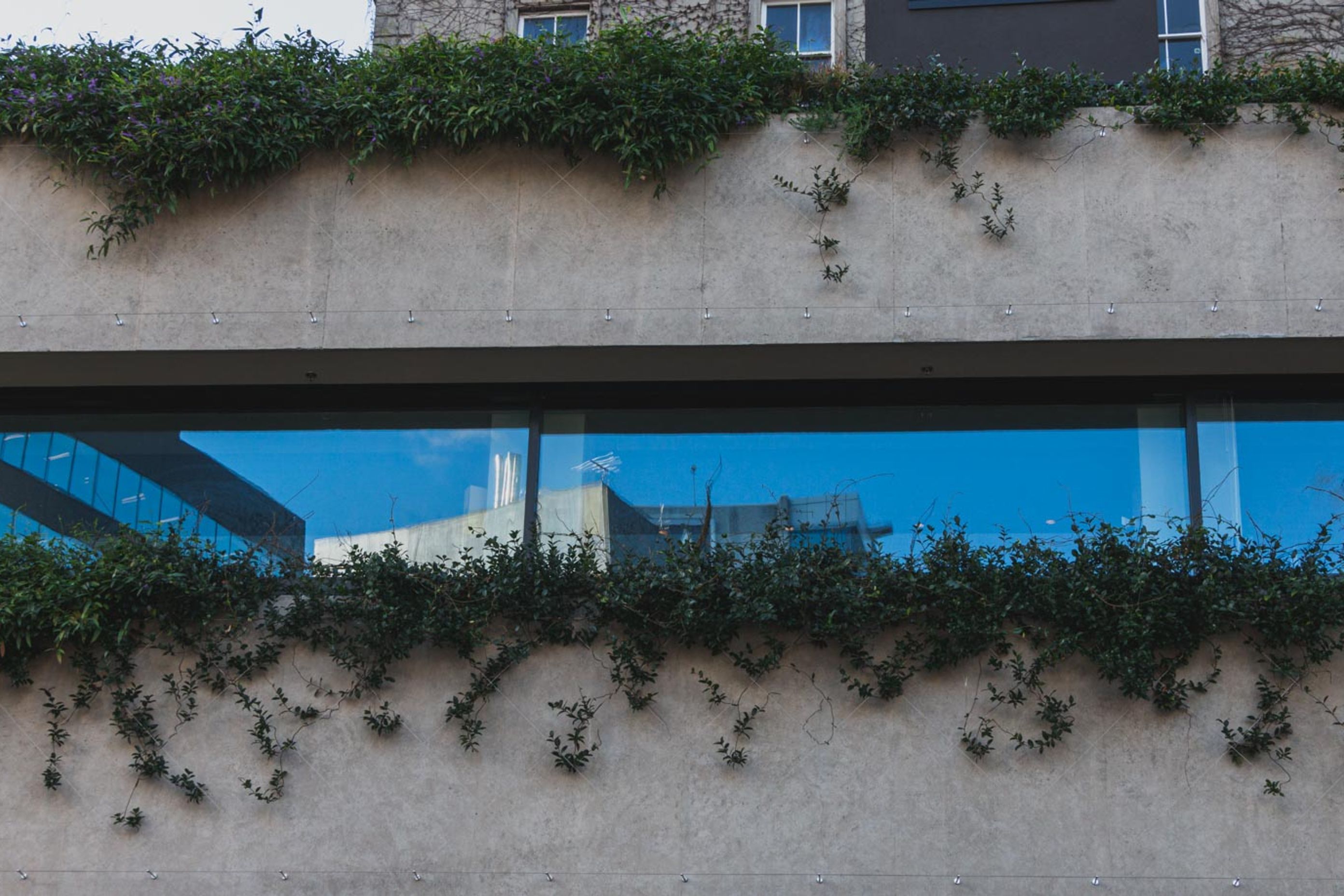 Northern Club Bankside Extension - balustrade and green facade project