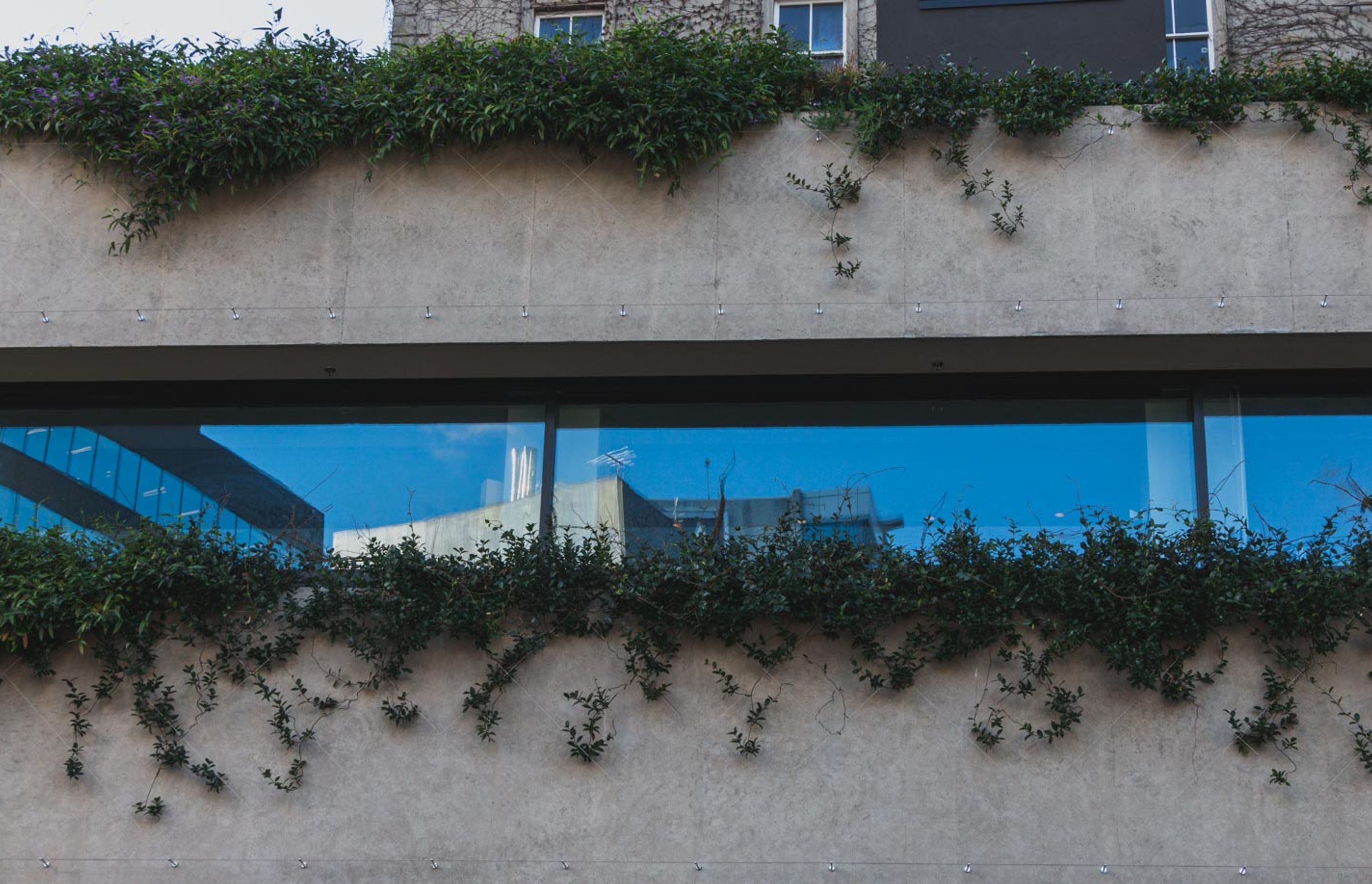 Northern Club Bankside Extension - balustrade and green facade project