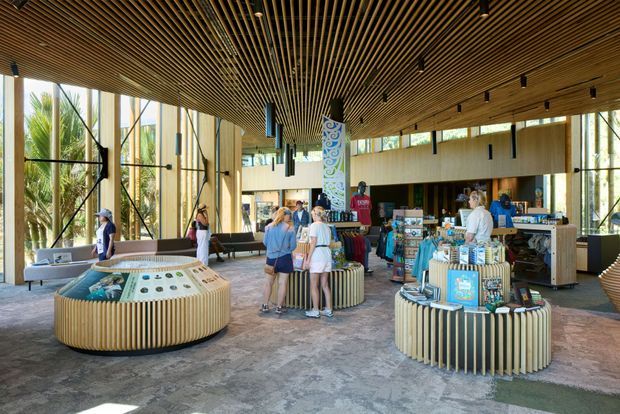 A bright, spacious commercial visitor-centre or retail lobby with floor-to-ceiling glazing, a slatted timber ceiling, polished concrete flooring, and curved ribbed timber display counters. Visitors browse merchandise and interpretive displays, while a service counter and open mezzanine-like upper level are visible at the rear. The interior has a warm, contemporary natural-material aesthetic with abundant daylight and indoor planting visible beyond the glazing.