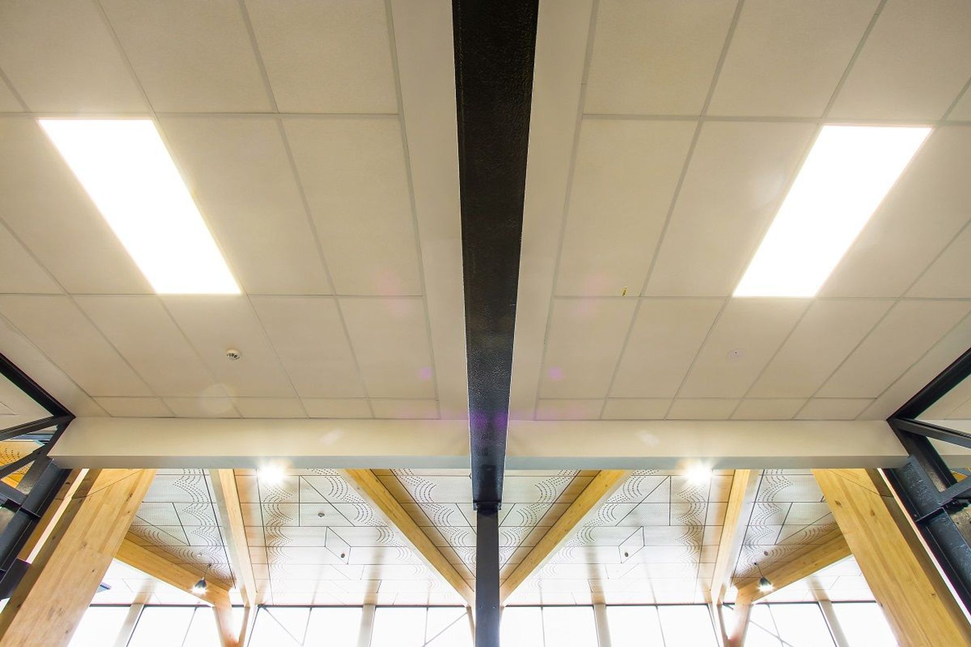 Tauranga Airport