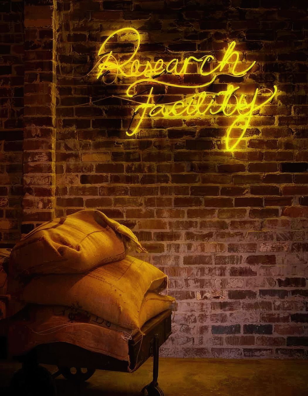 Photography Credit: The Brick Pit