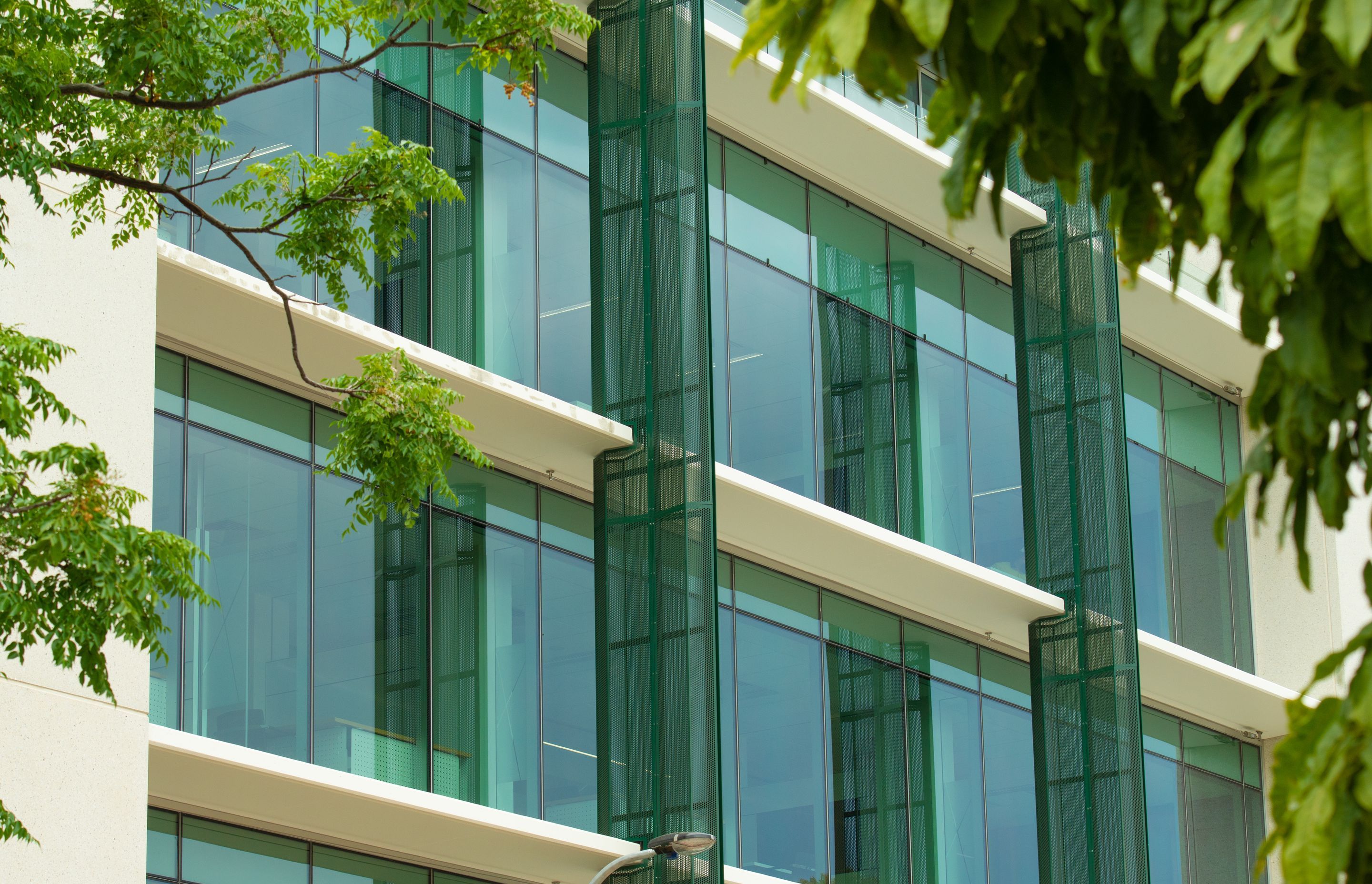 Rose Park Development