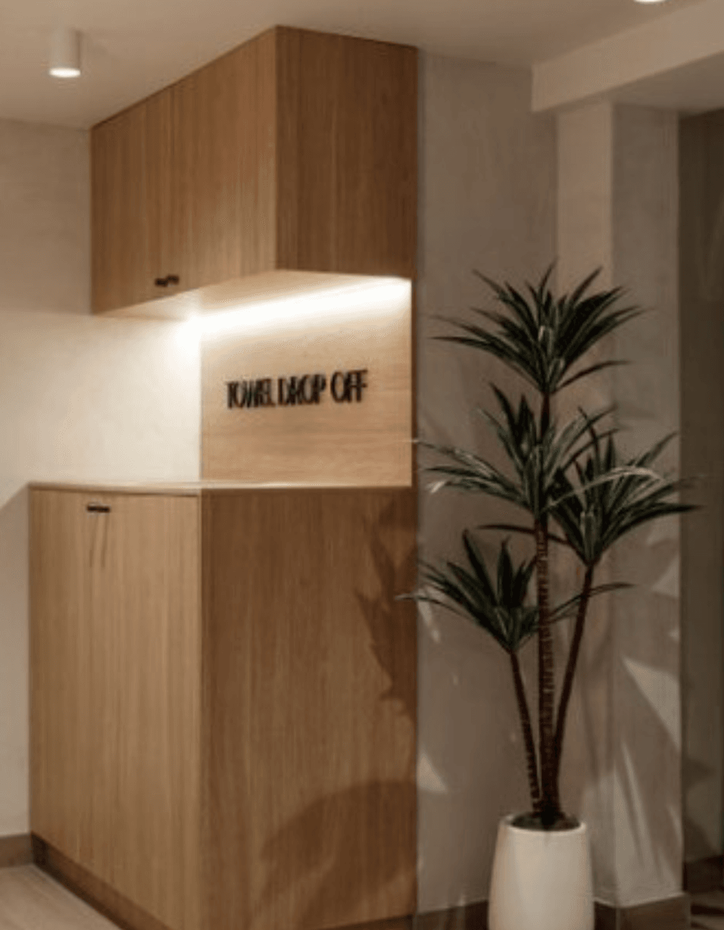 Untitled-design-3.png