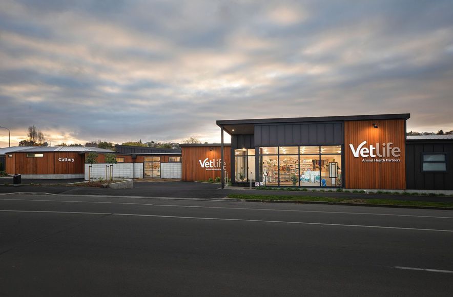 Vetlife Timaru