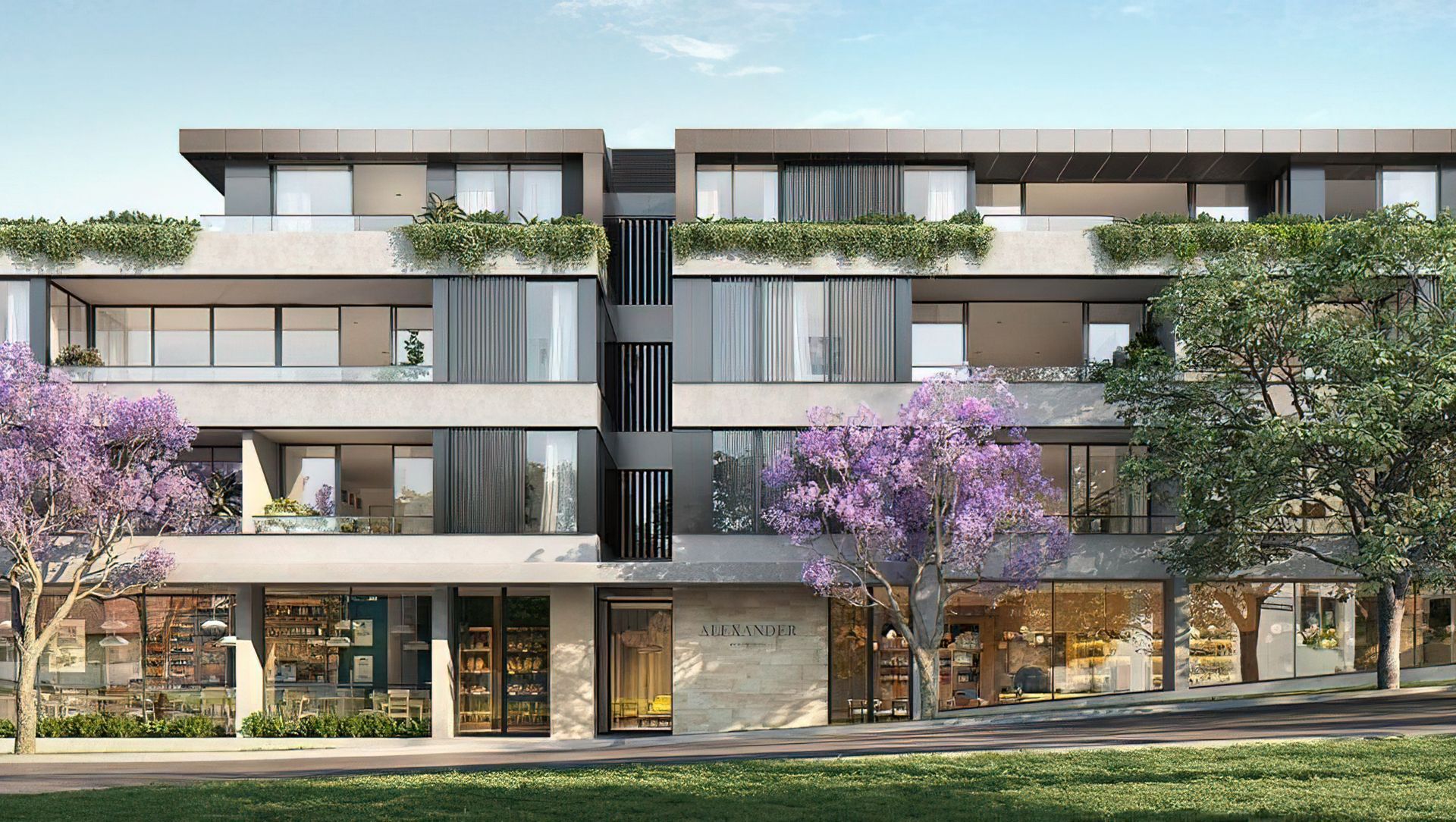 Alexander Street Crows Nest banner