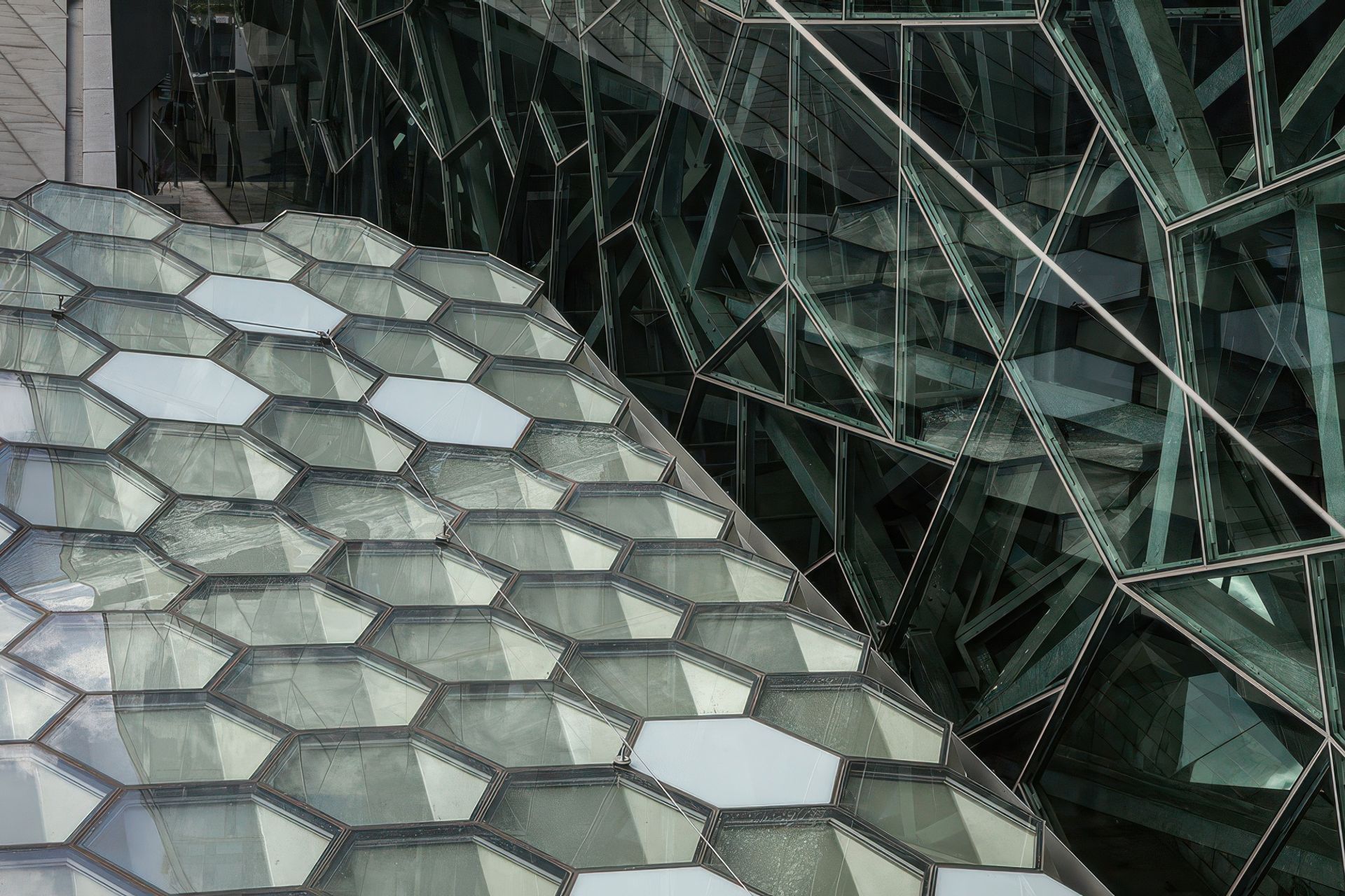 cloudcanopy2-gigapixel-standard-v2-17x.jpeg