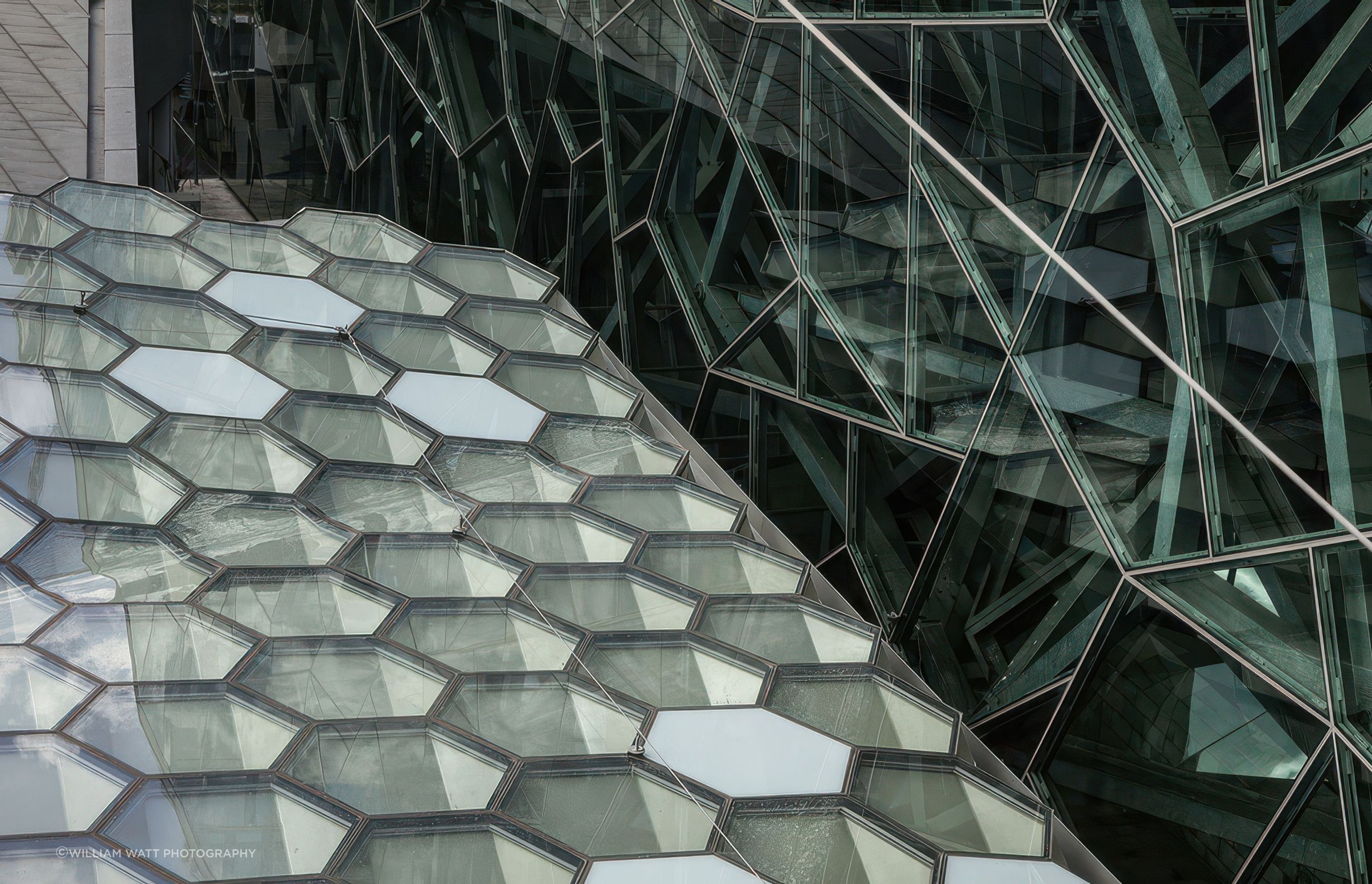 cloudcanopy2-gigapixel-standard-v2-17x.jpeg