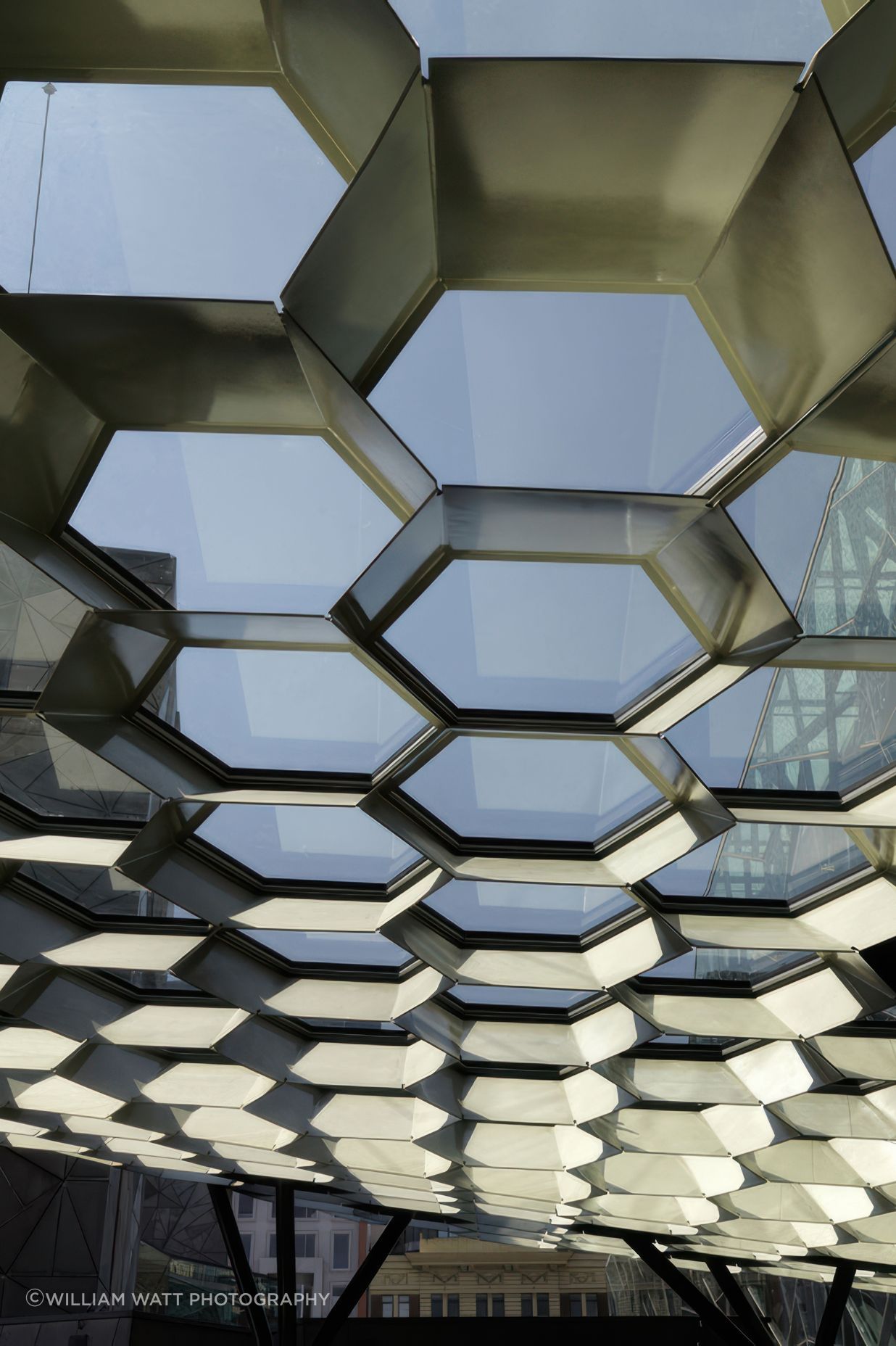 cloudcanopy4-gigapixel-standard-v2-35x.jpeg