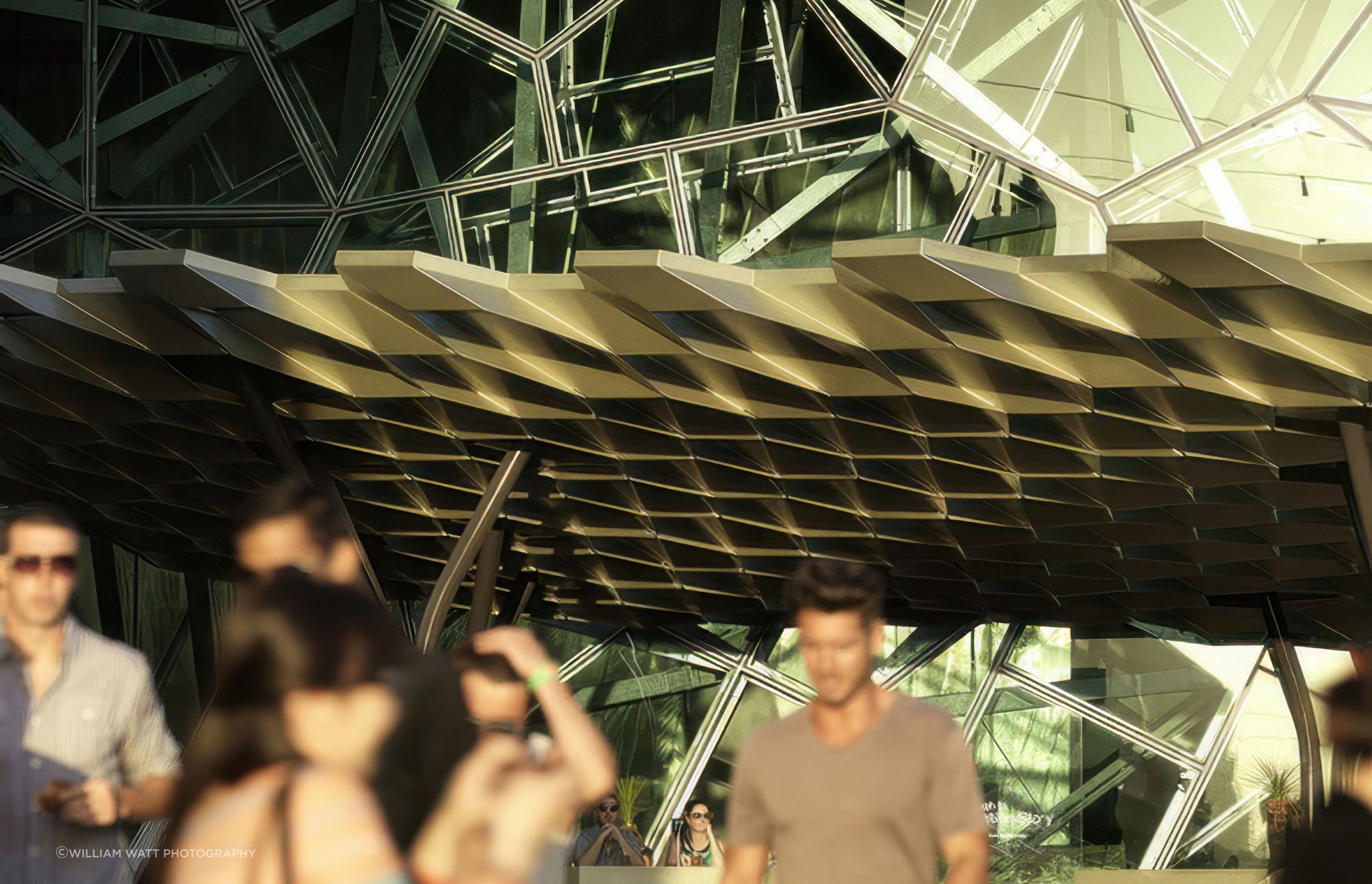 cloudcanopy7-gigapixel-standard-v2-35x.jpeg