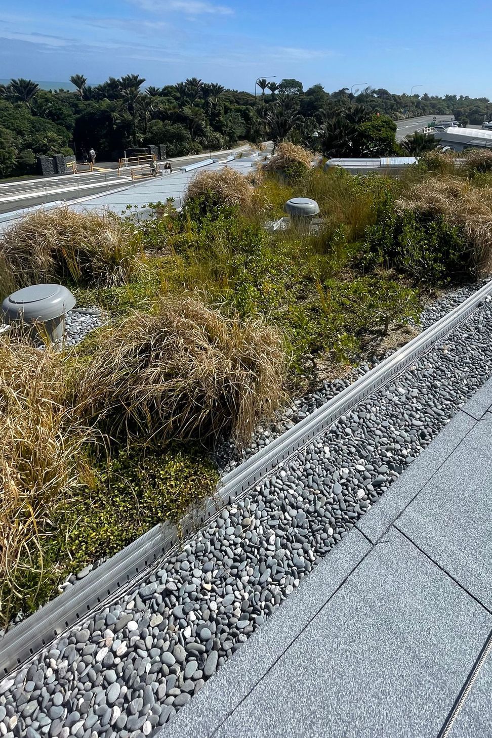 punangairi-gr-drainage-v2.jpg